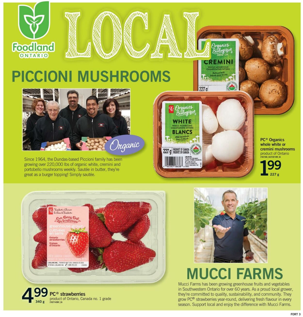 Flyer Fortinos 19.06.2025 - 25.06.2025