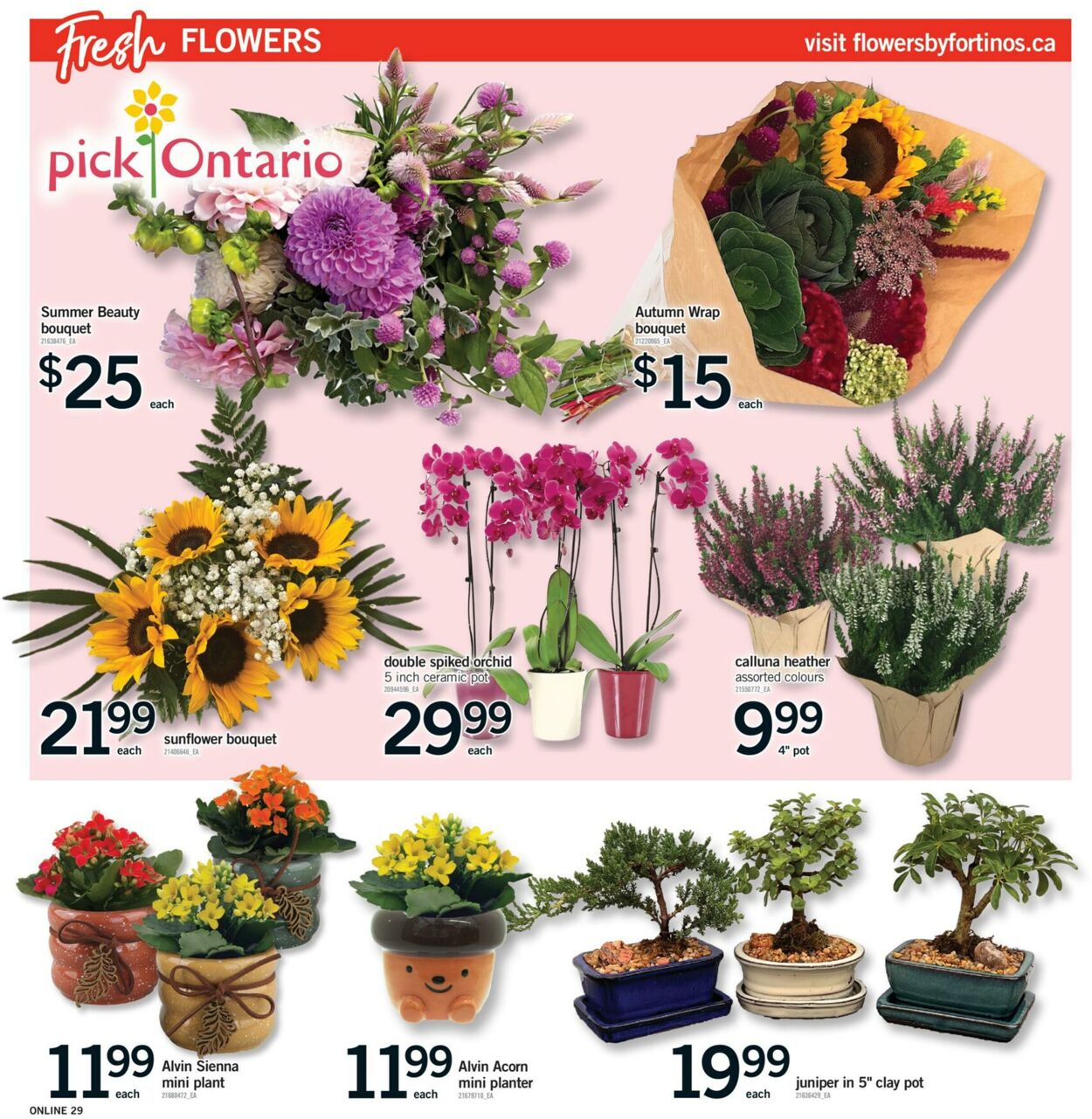 Flyer Fortinos 28.08.2025 - 03.09.2025