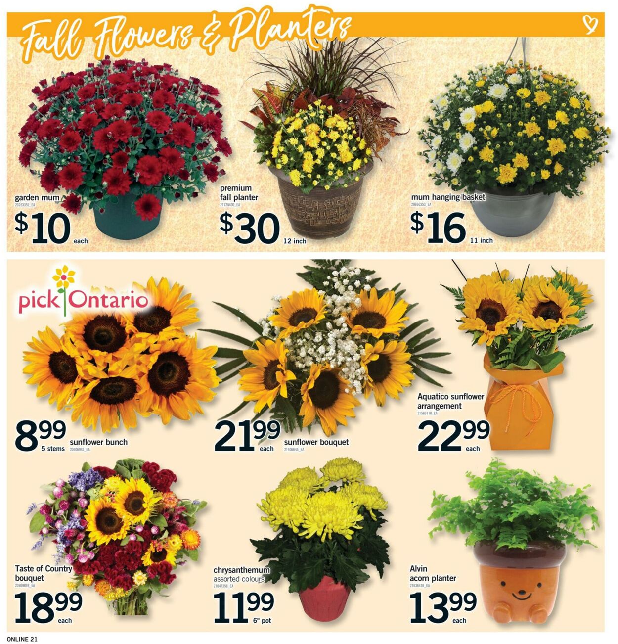 Flyer Fortinos 11.09.2025 - 17.09.2025