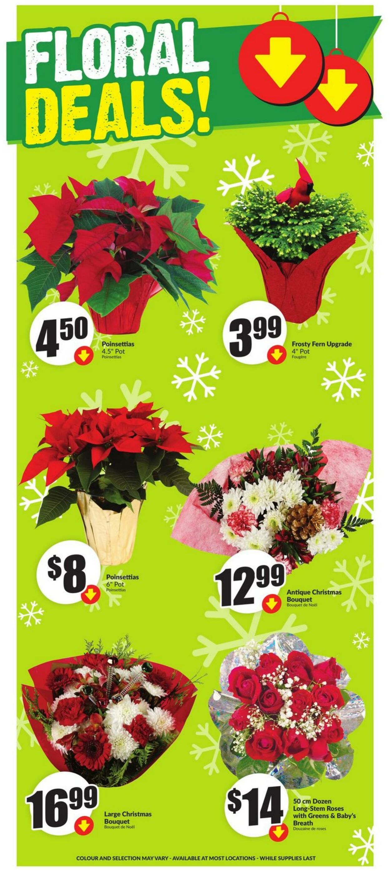 Flyer FreshCo 12.12.2024 - 18.12.2024