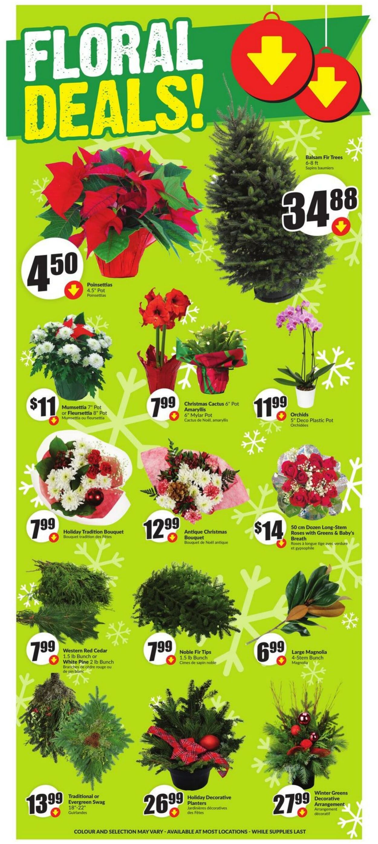 Flyer FreshCo 28.11.2024 - 04.12.2024