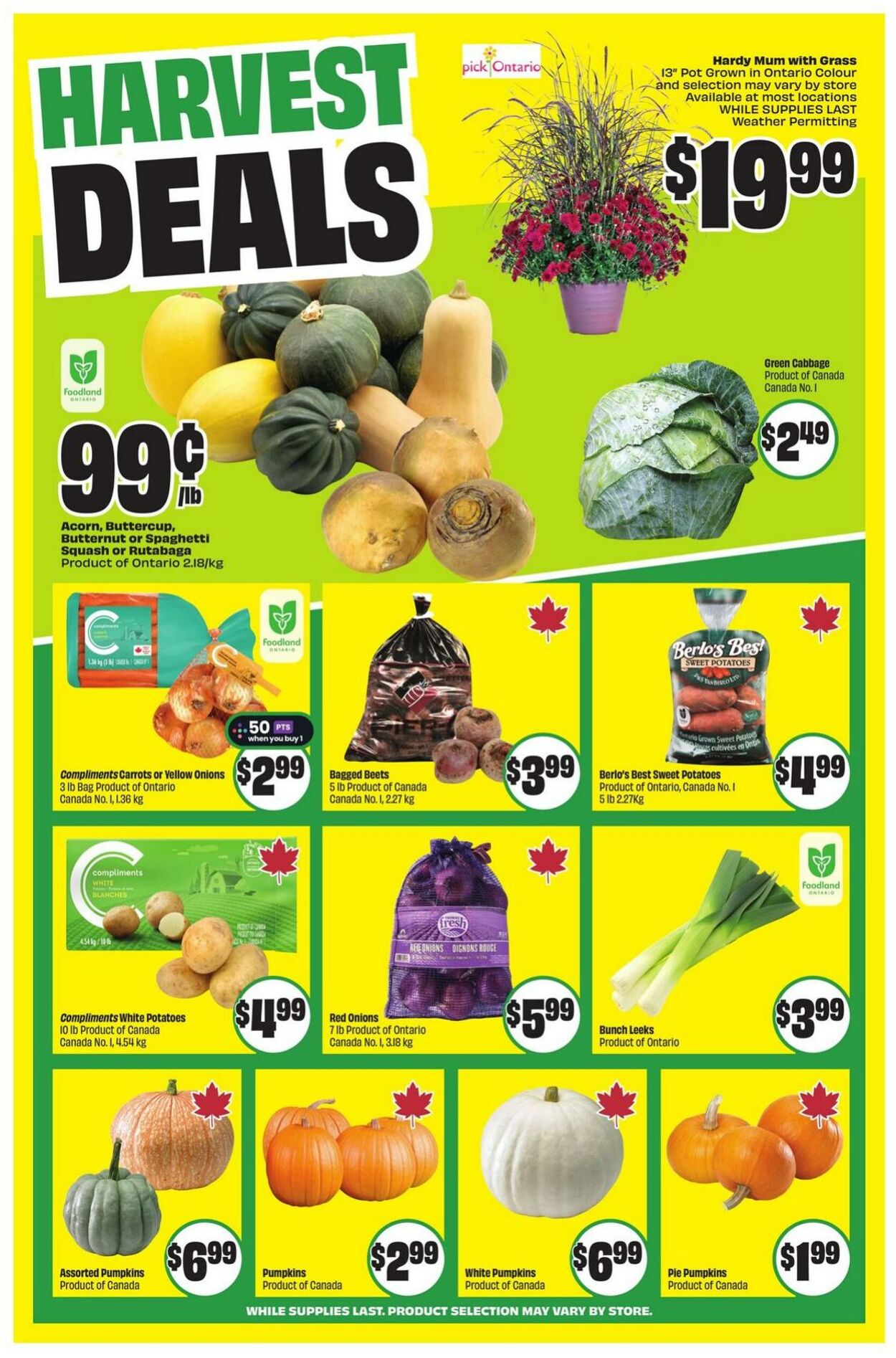 Flyer FreshCo 11.09.2025 - 17.09.2025