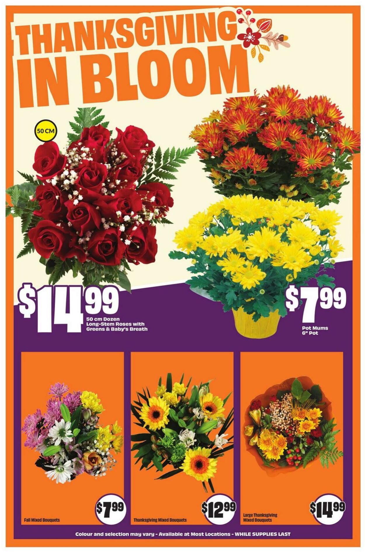 Flyer FreshCo 09.10.2025 - 15.10.2025