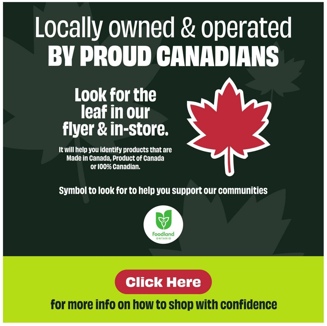Flyer FreshCo 29.05.2025 - 04.06.2025