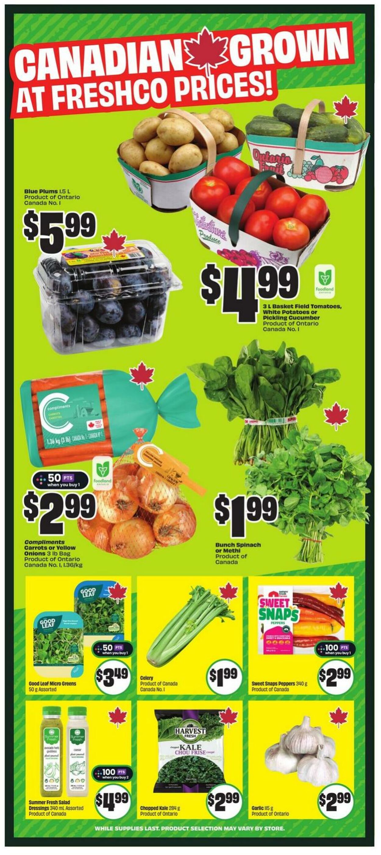 Flyer FreshCo 14.08.2025 - 20.08.2025