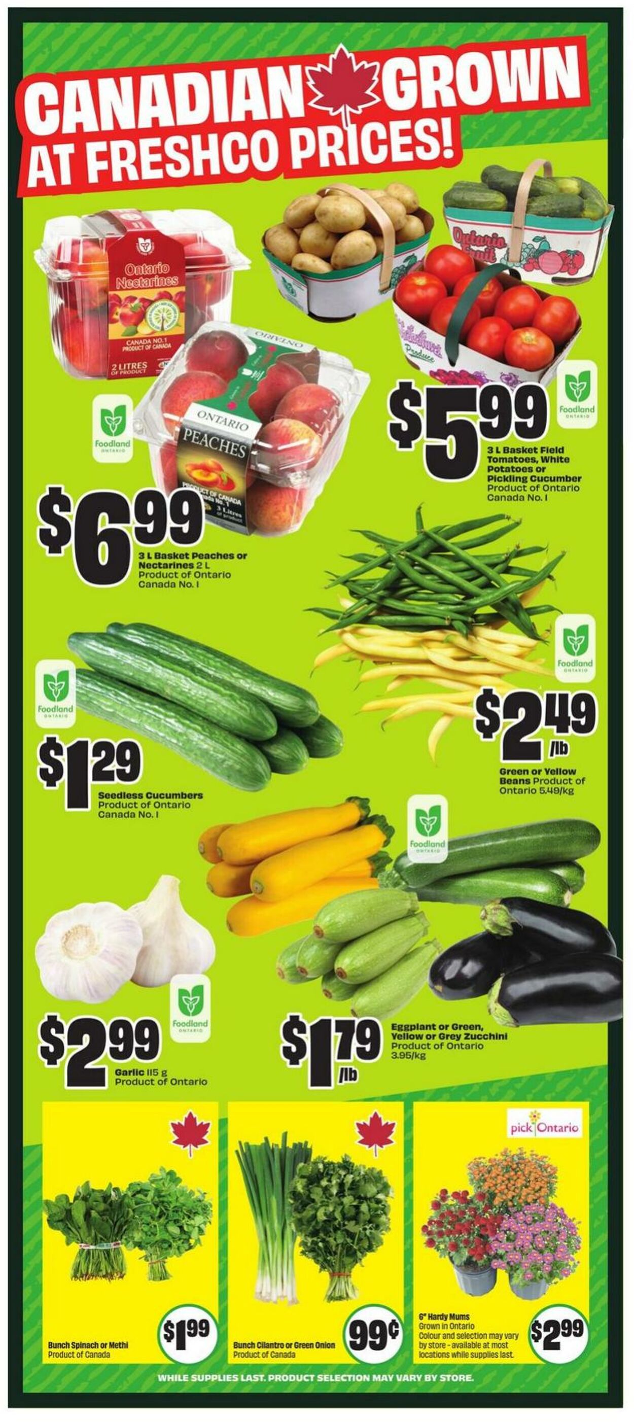 Flyer FreshCo 07.08.2025 - 13.08.2025
