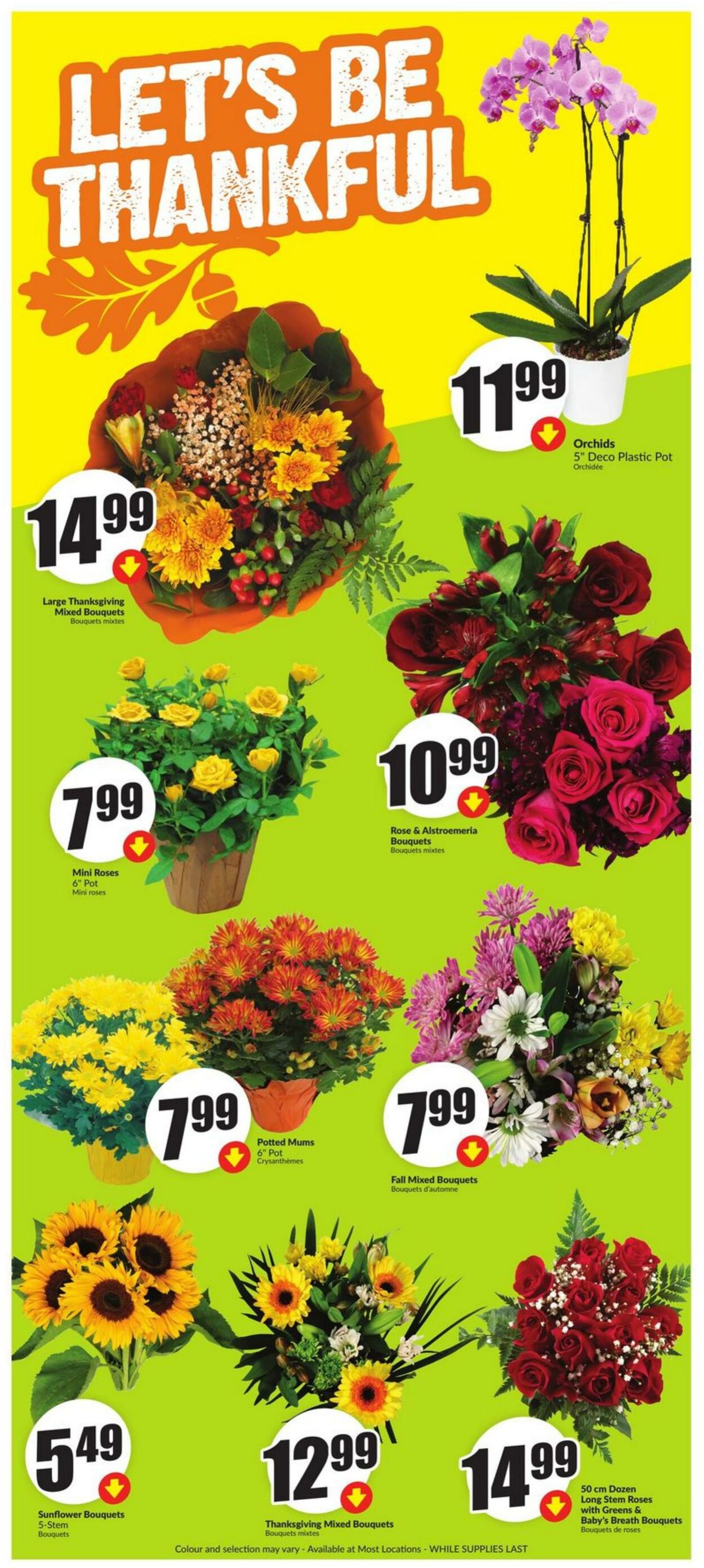 Flyer FreshCo 03.10.2024 - 09.10.2024