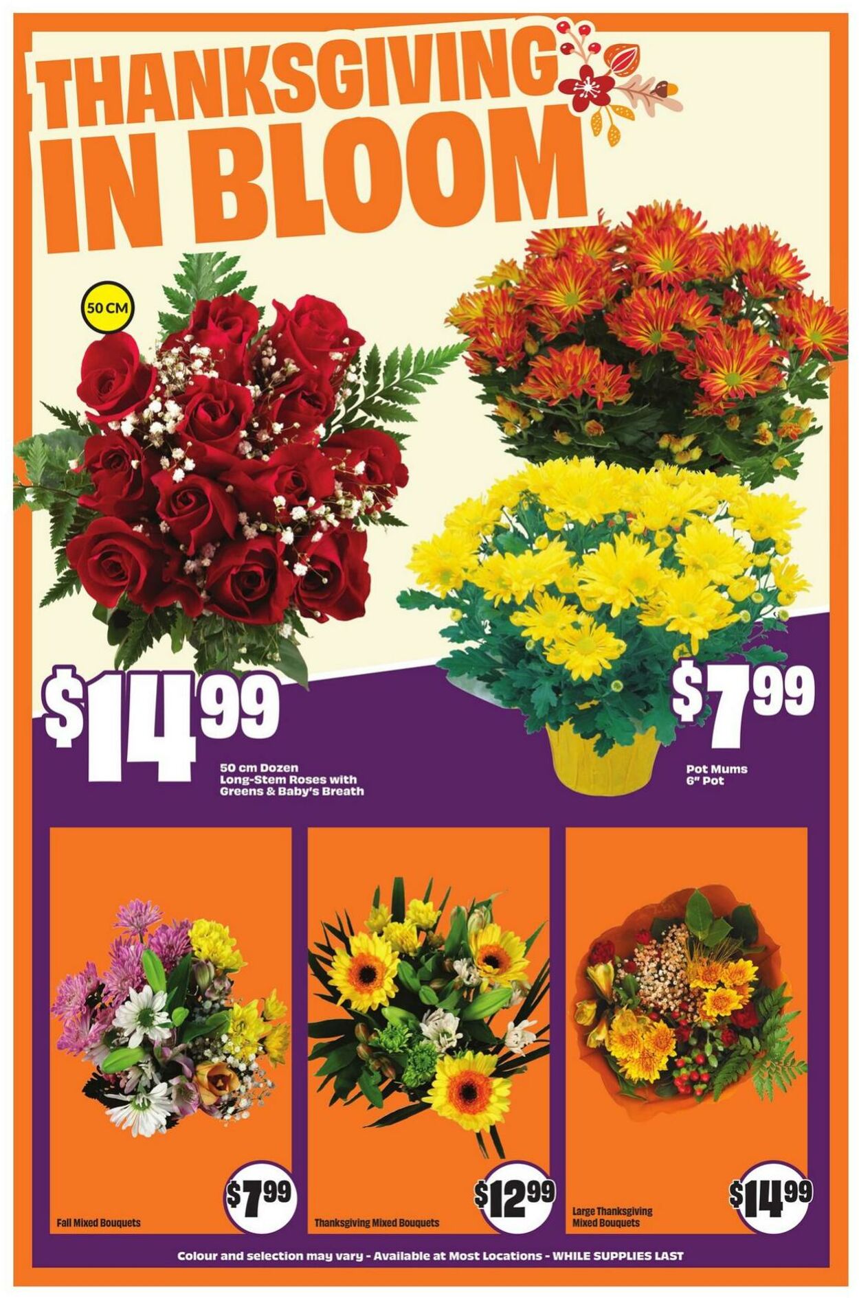Flyer FreshCo 02.10.2025 - 08.10.2025