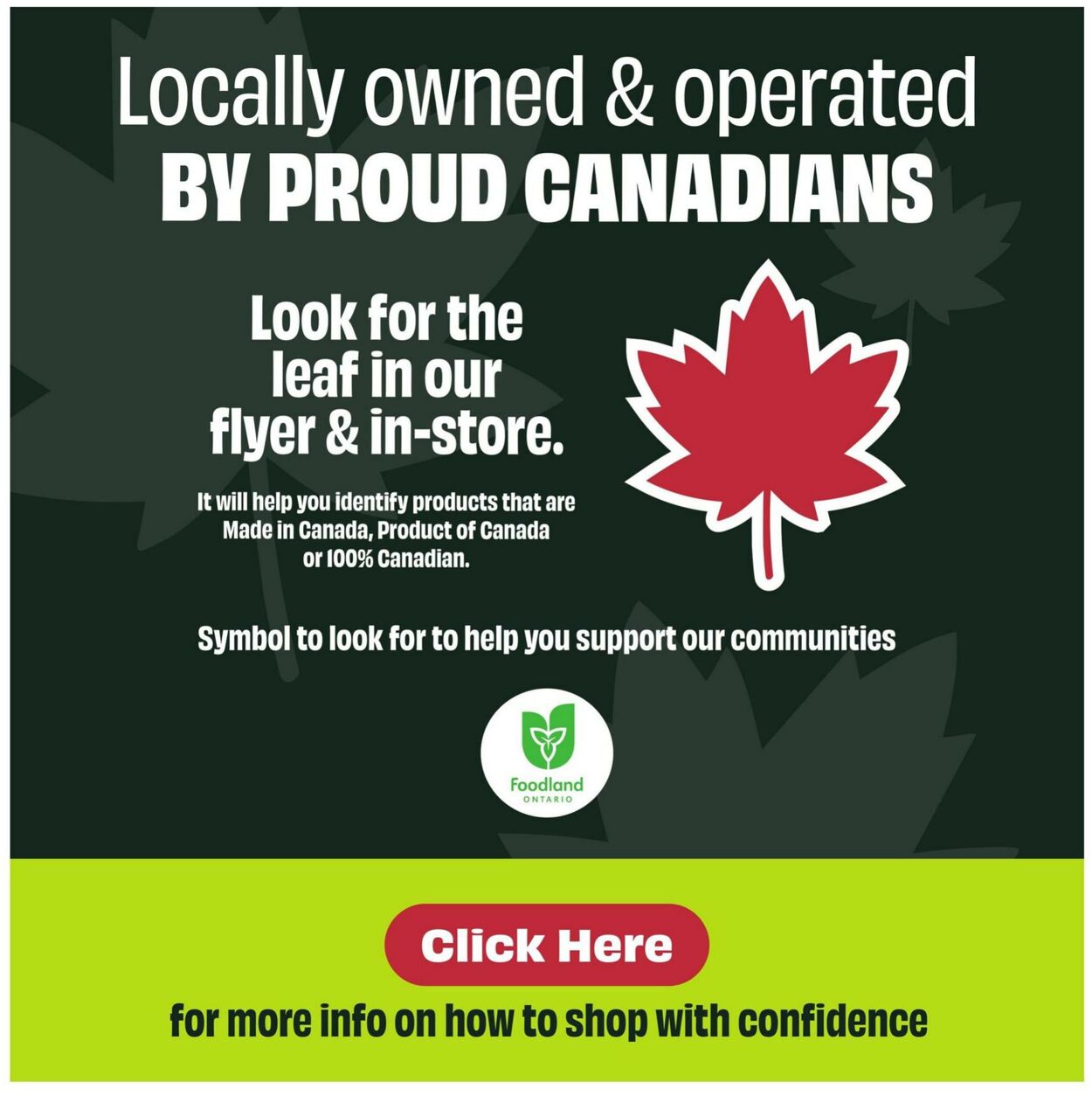 Flyer FreshCo 05.06.2025 - 11.06.2025