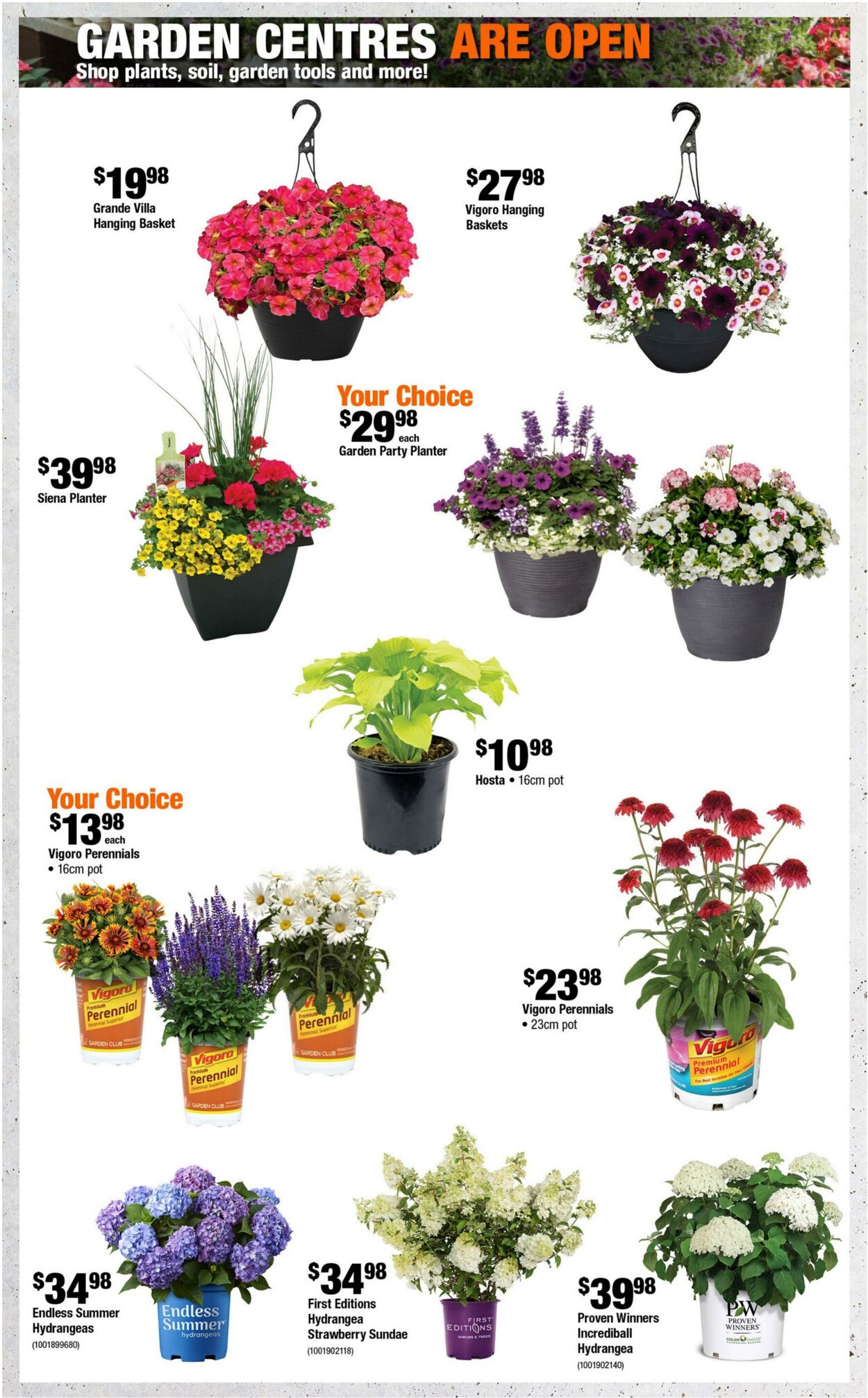 Flyer Home Depot 11.06.2026 - 24.06.2026