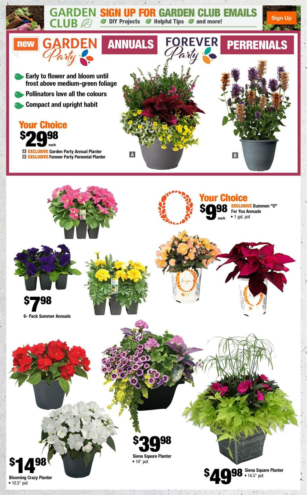 Flyer Home Depot 19.06.2025 - 02.07.2025