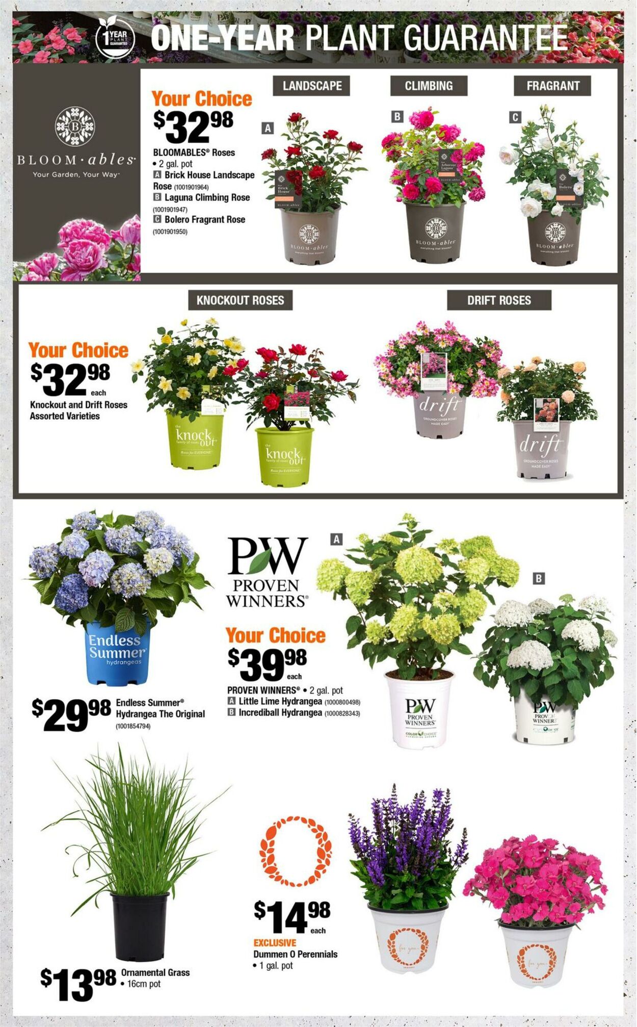 Flyer Home Depot 19.06.2025 - 02.07.2025