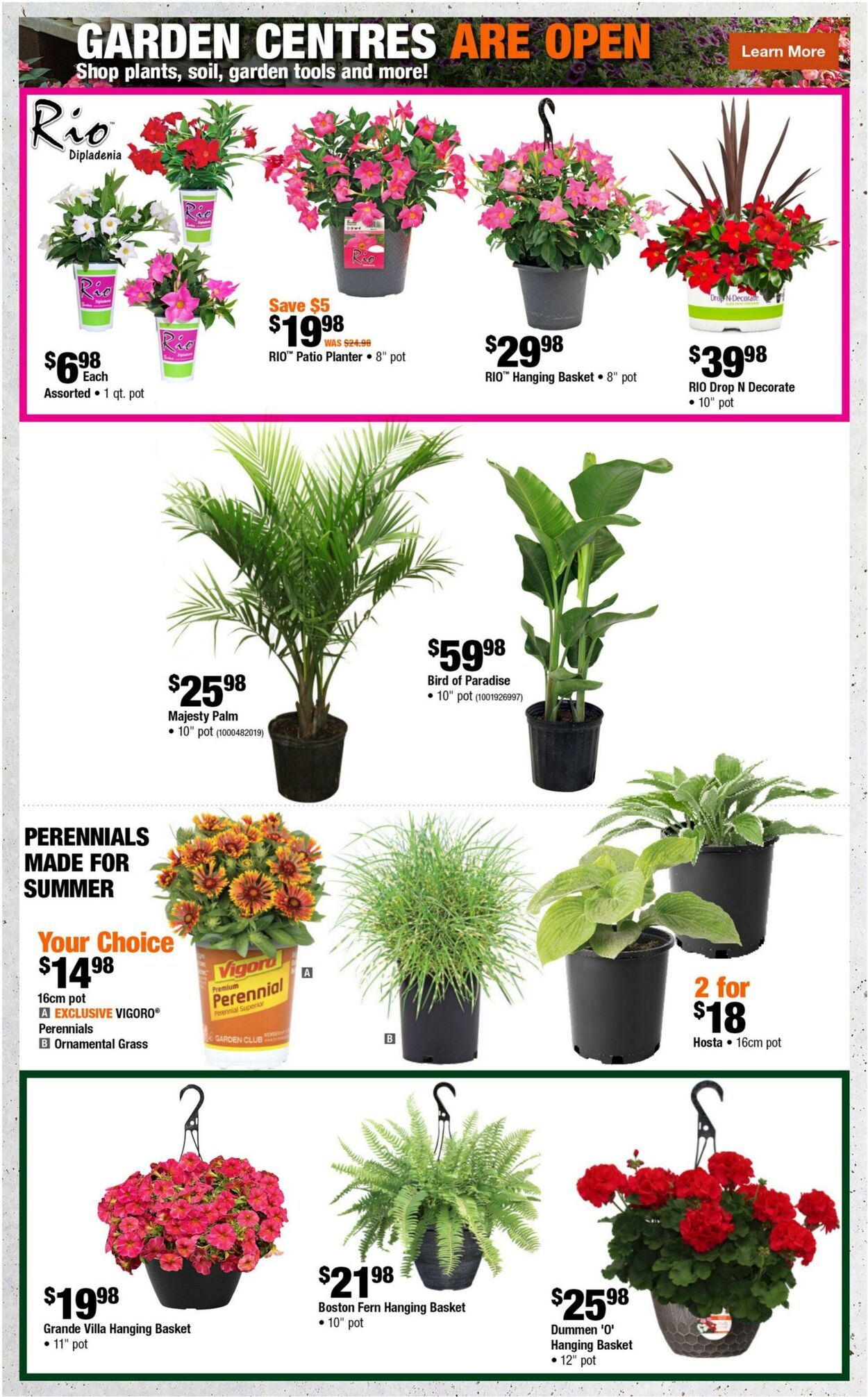 Flyer Home Depot 28.05.2026 - 10.06.2026