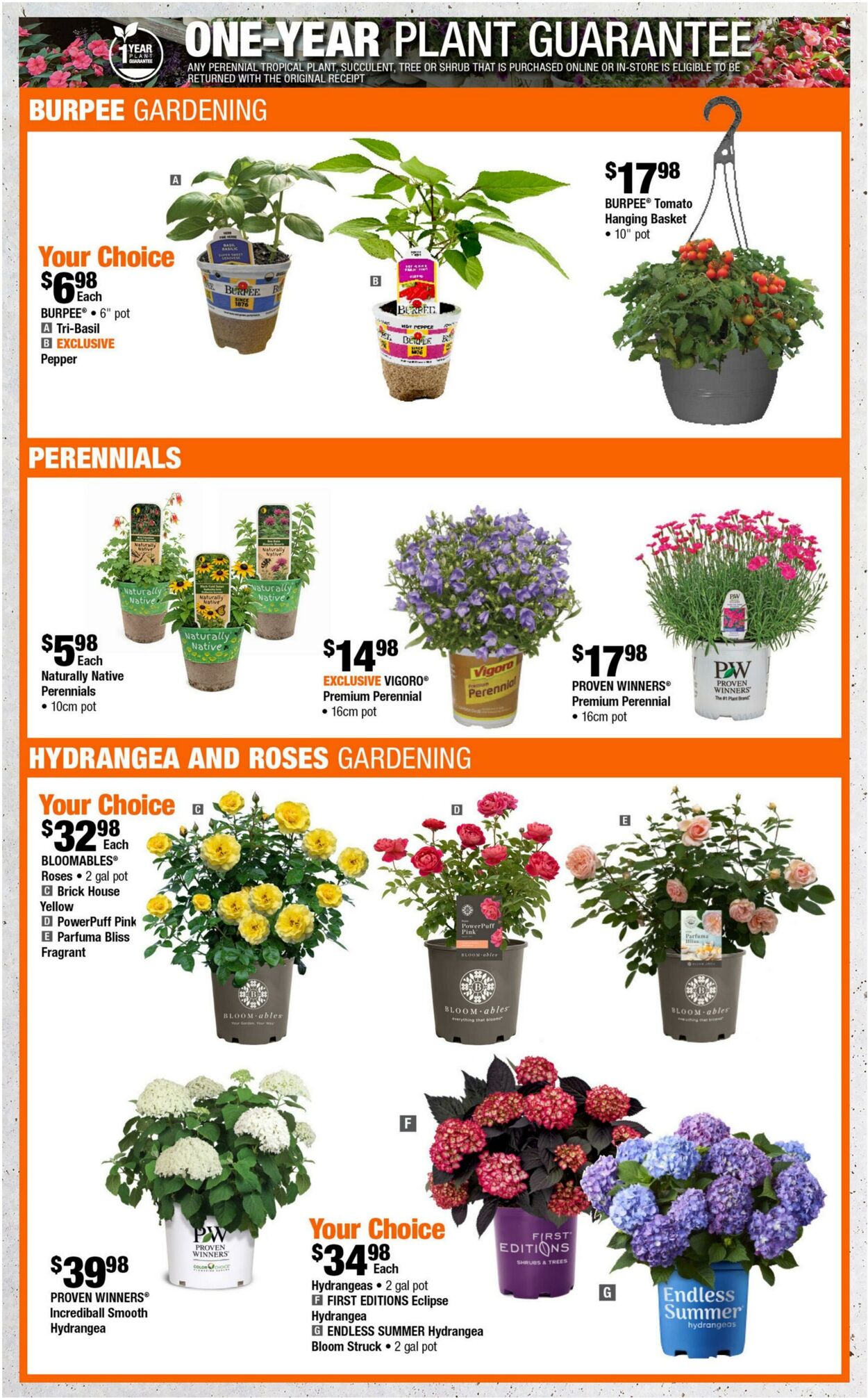 Flyer Home Depot 14.05.2026 - 27.05.2026
