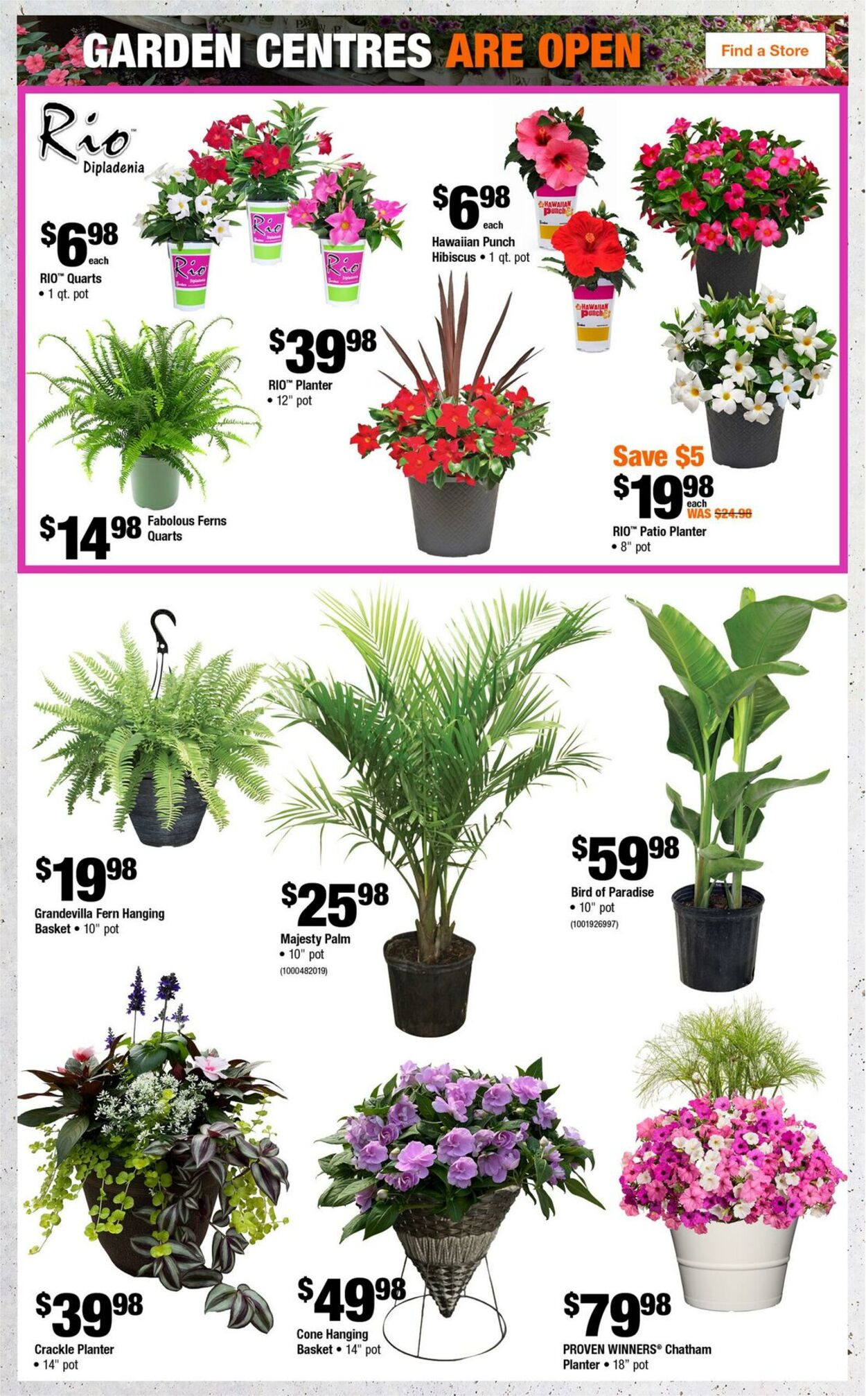 Flyer Home Depot 29.05.2025 - 04.06.2025