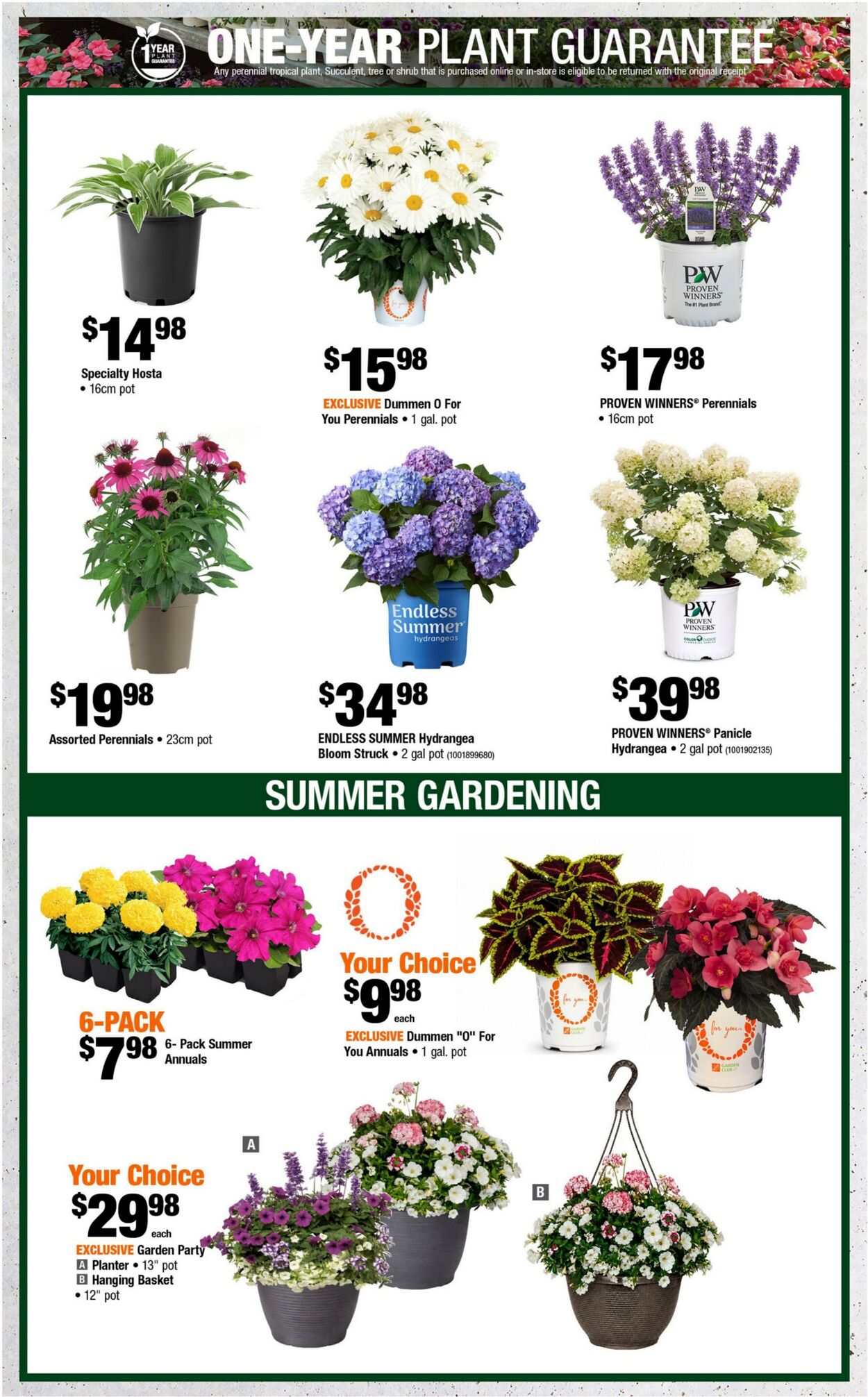 Flyer Home Depot 25.06.2026 - 08.07.2026