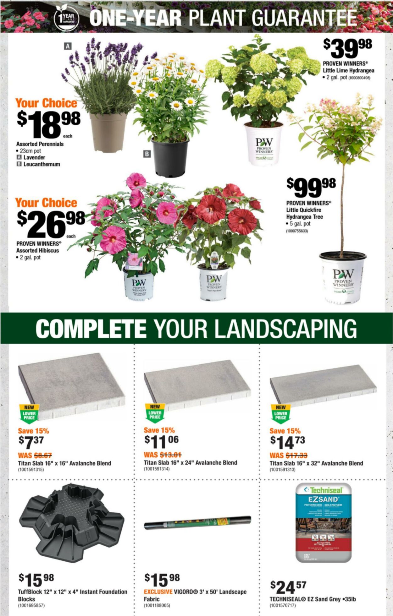 Flyer Home Depot 25.07.2024 - 31.07.2024