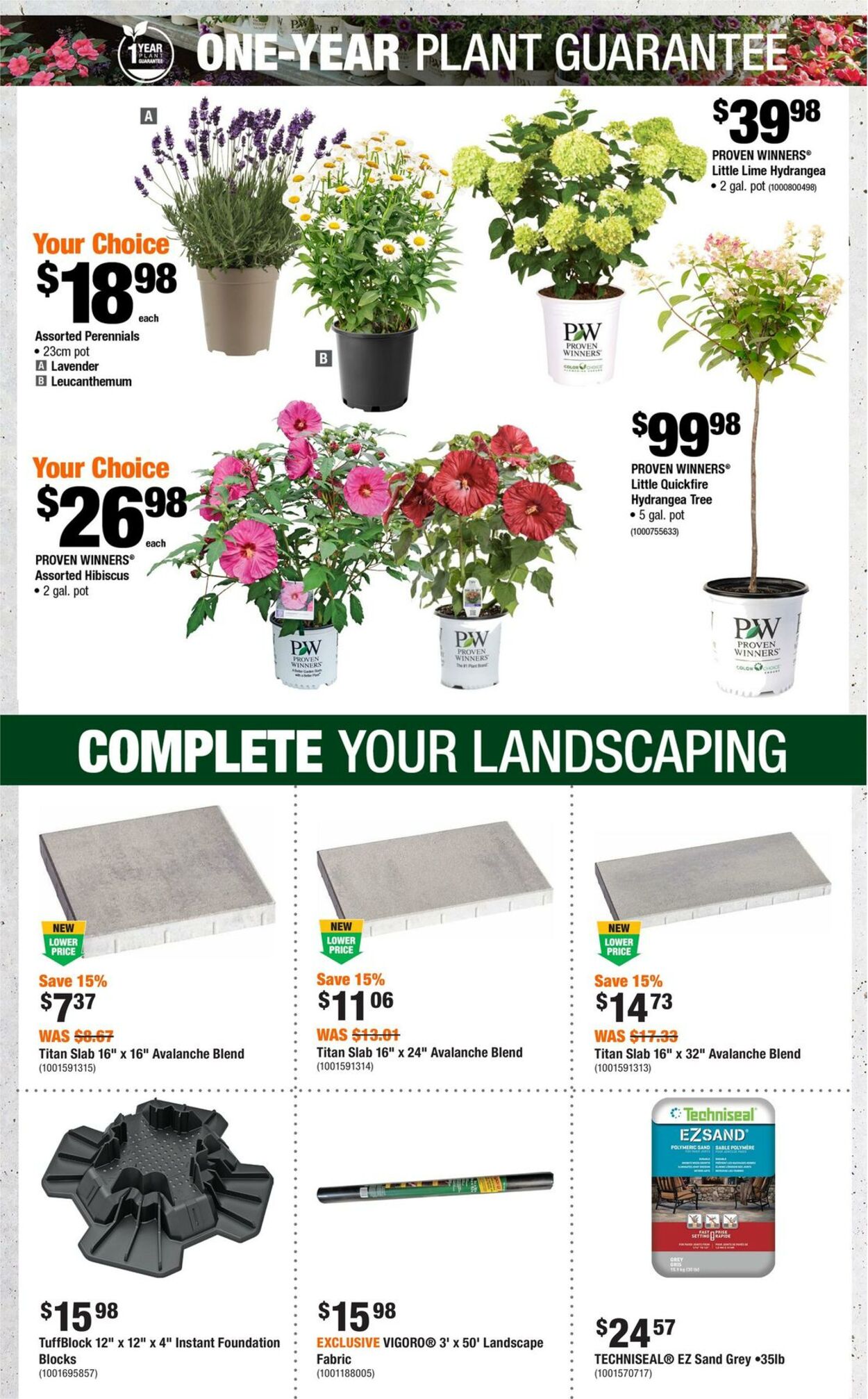 Flyer Home Depot 25.07.2024 - 31.07.2024