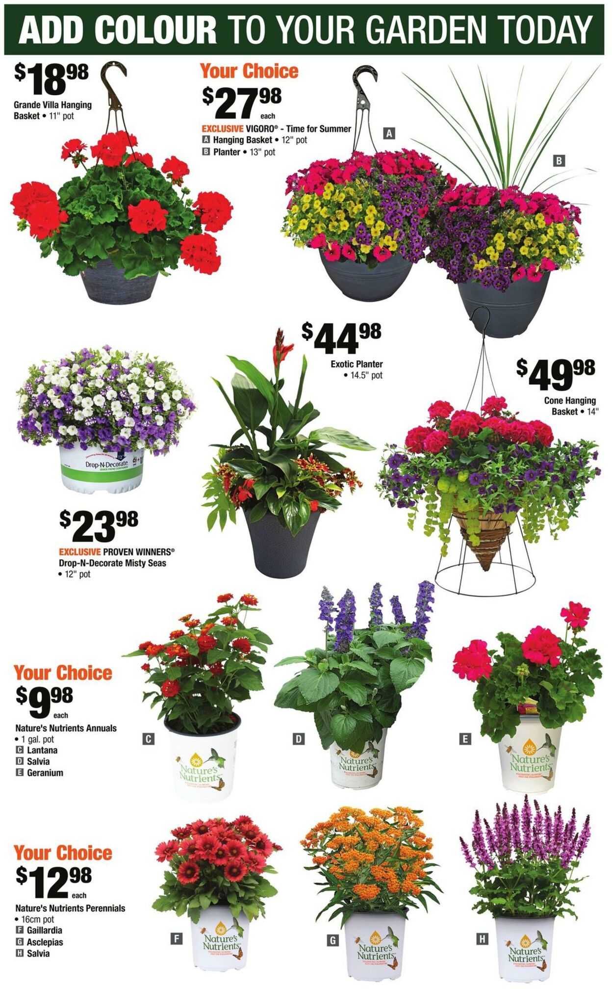 Flyer Home Depot 01.06.2023 - 07.06.2023