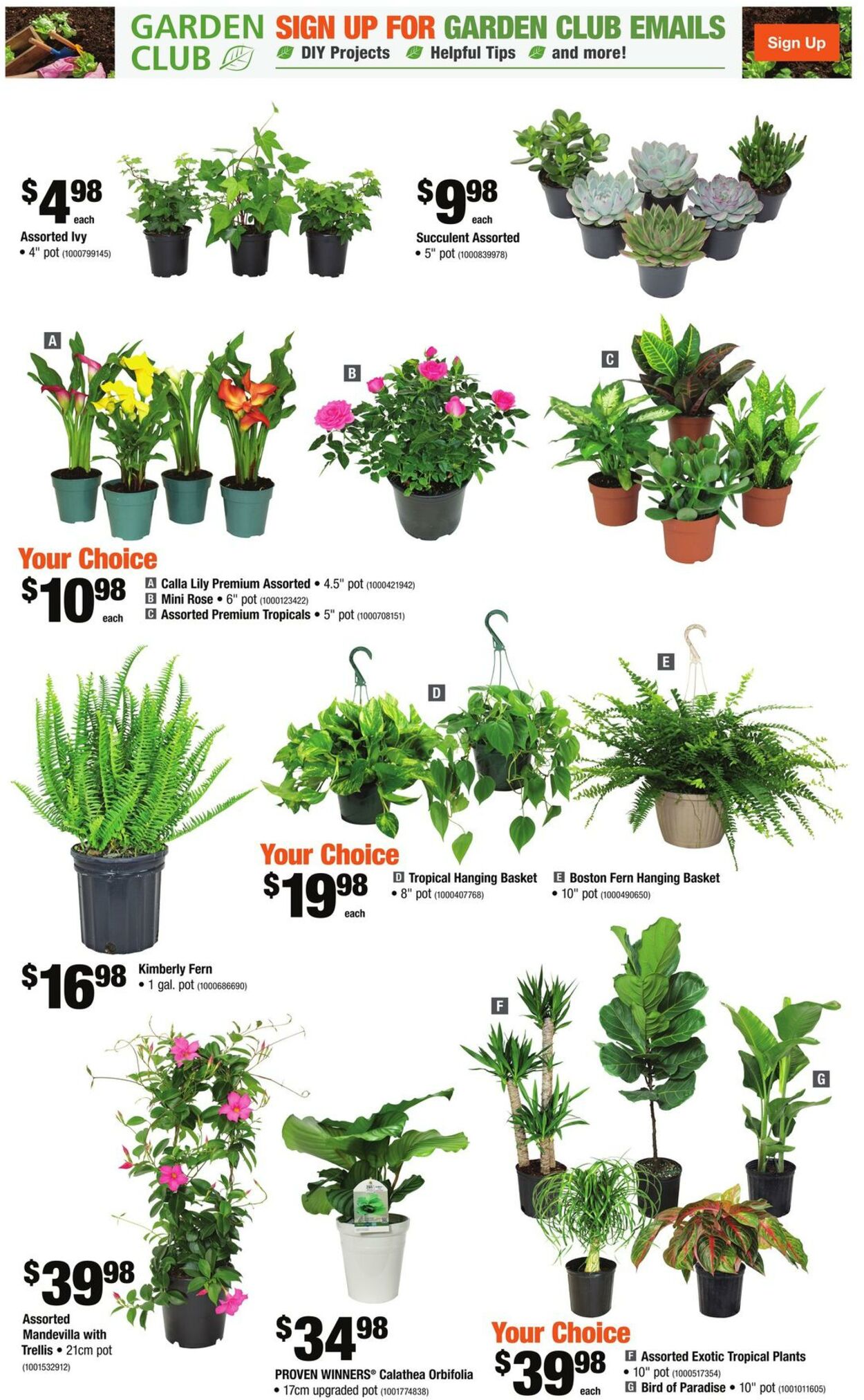 Flyer Home Depot 01.06.2023 - 07.06.2023