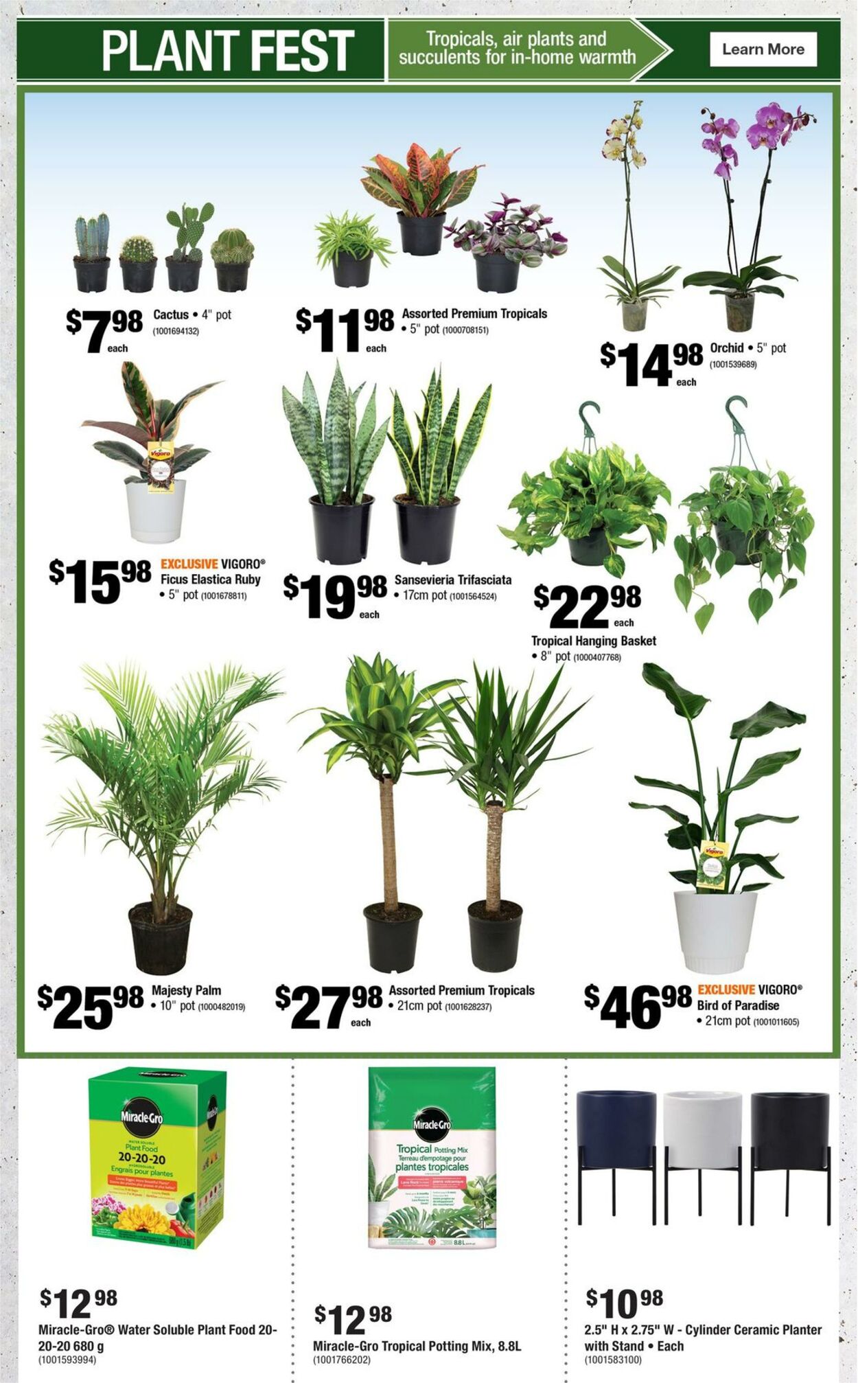 Flyer Home Depot 26.12.2024 - 01.01.2025