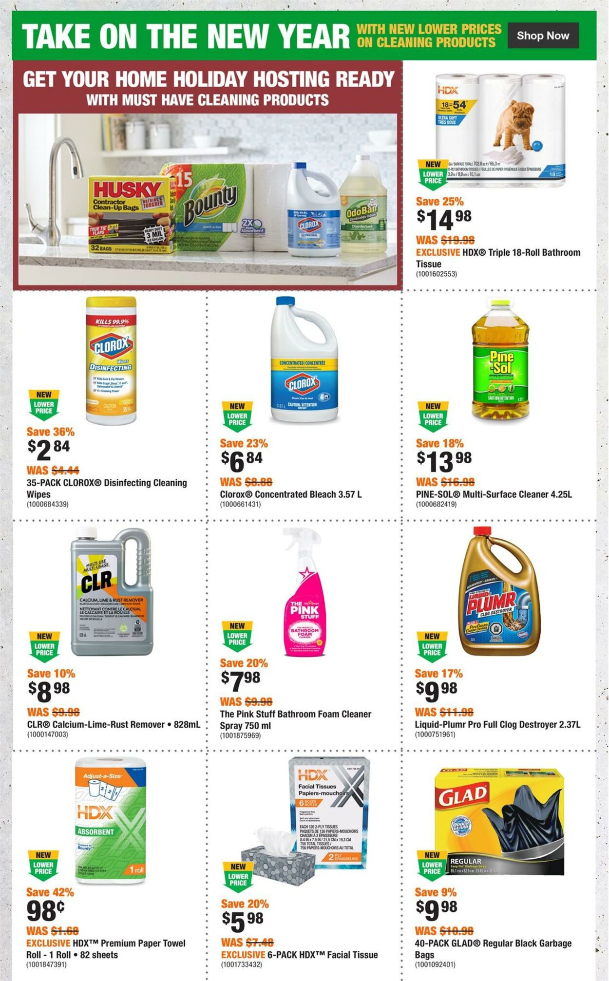 Flyer Home Depot 26.12.2024 - 01.01.2025