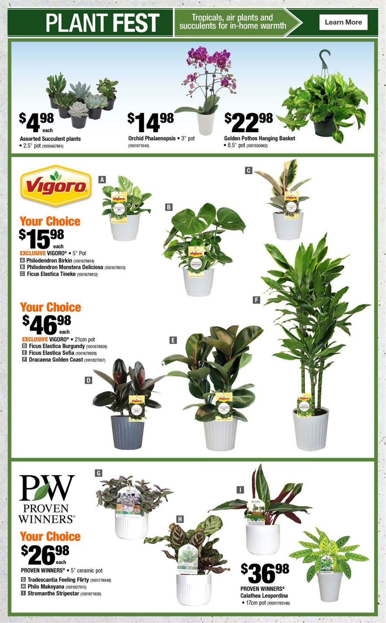 Flyer Home Depot 09.01.2025 - 15.01.2025