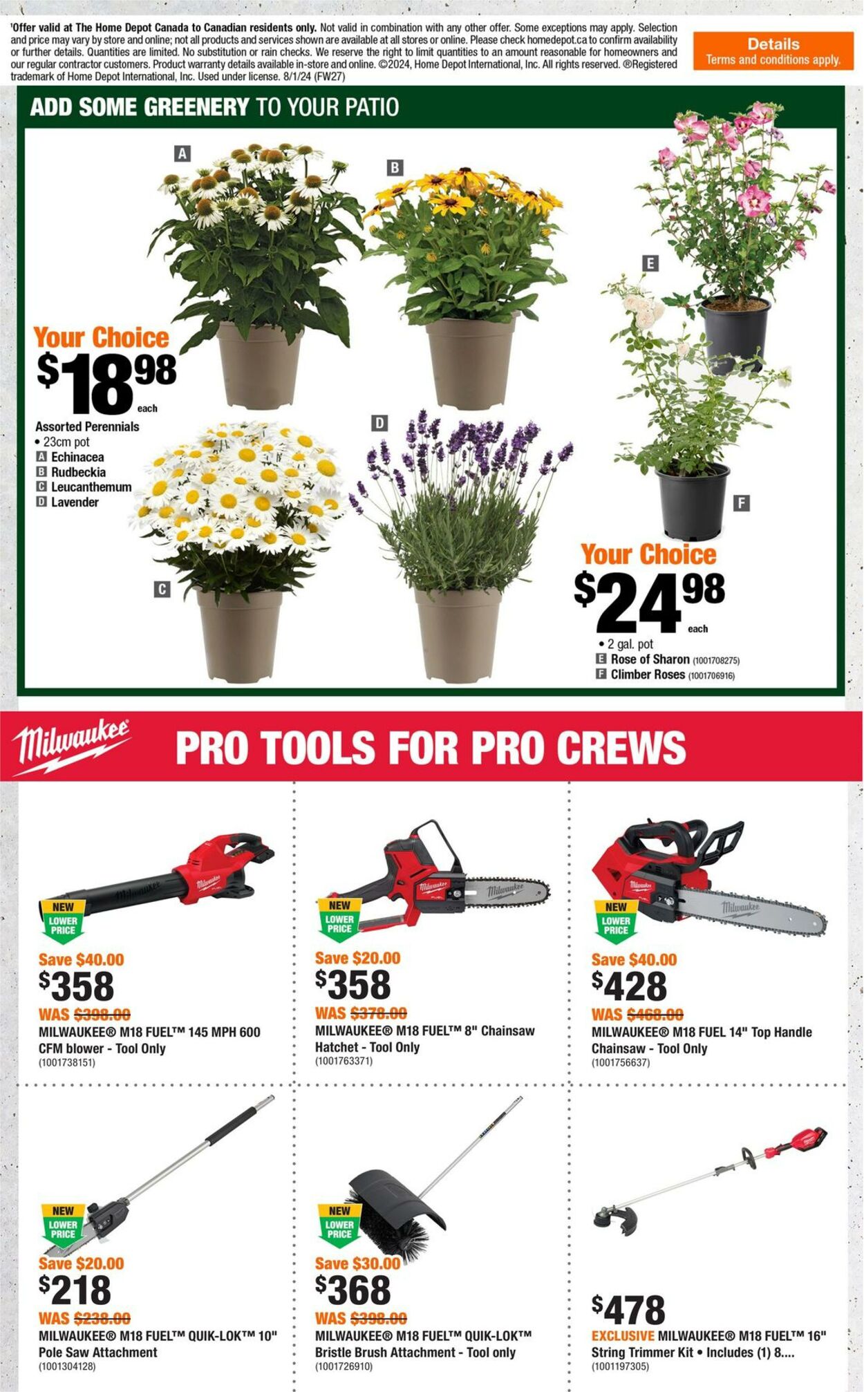 Flyer Home Depot 01.08.2024 - 07.08.2024