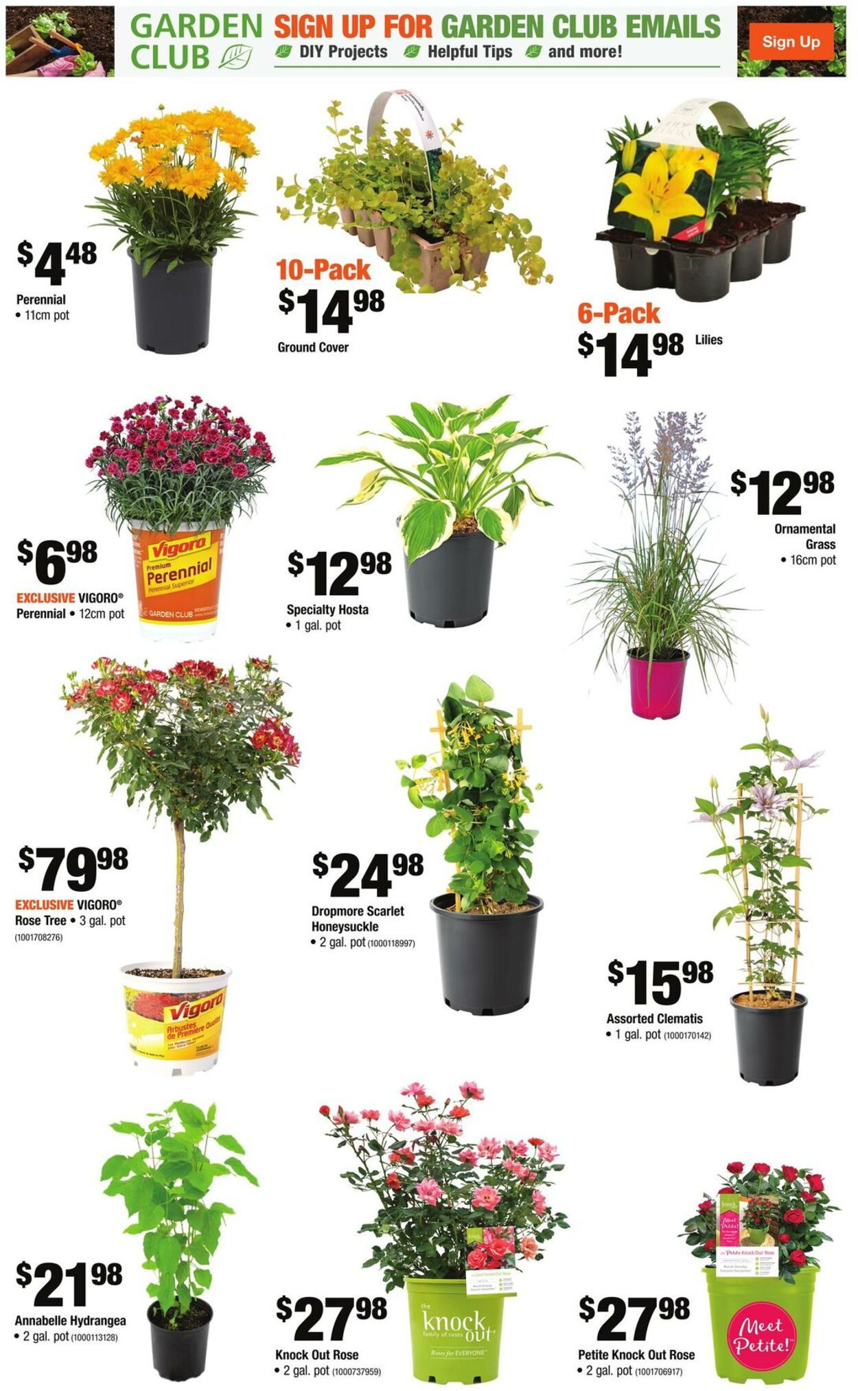 Home Depot Promotional Flyer Mother's Day Valid from 04.05 to 10.05