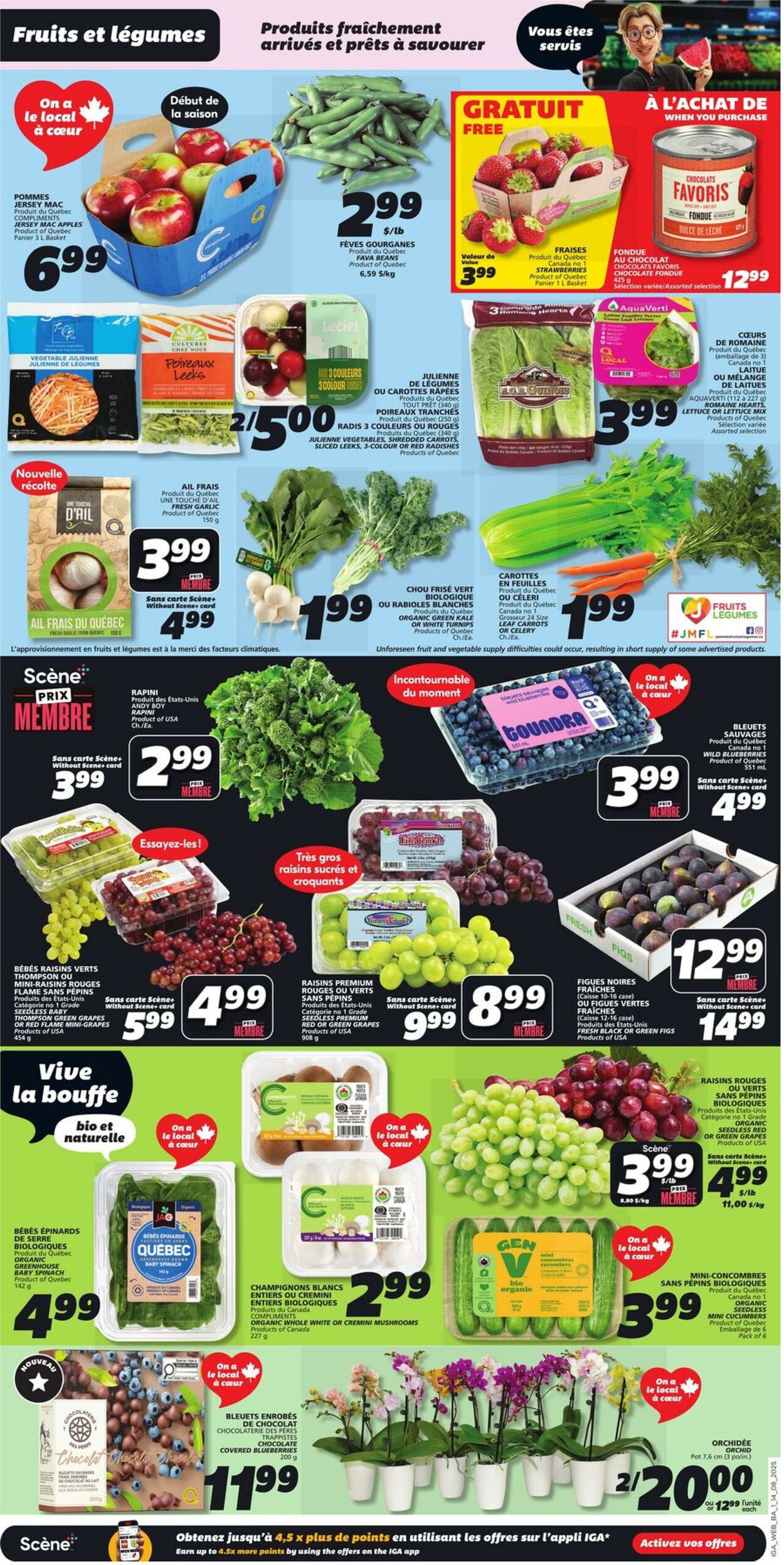 Flyer IGA 14.08.2025 - 20.08.2025