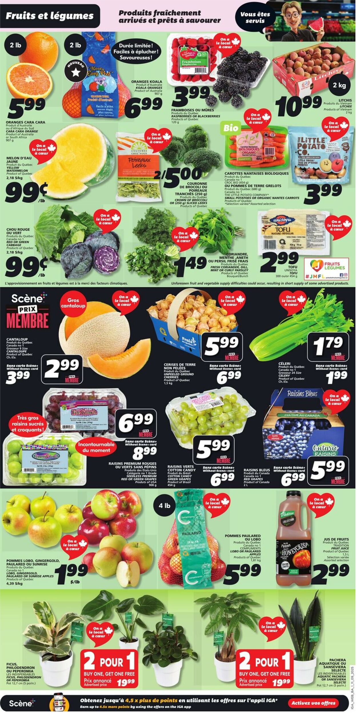Flyer IGA 11.09.2025 - 17.09.2025