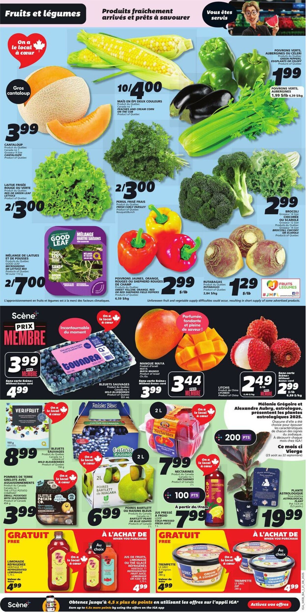Flyer IGA 21.08.2025 - 27.08.2025