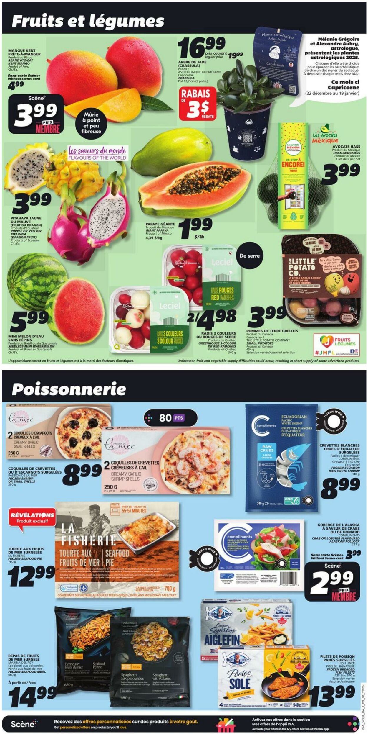 Flyer IGA 09.01.2025 - 15.01.2025