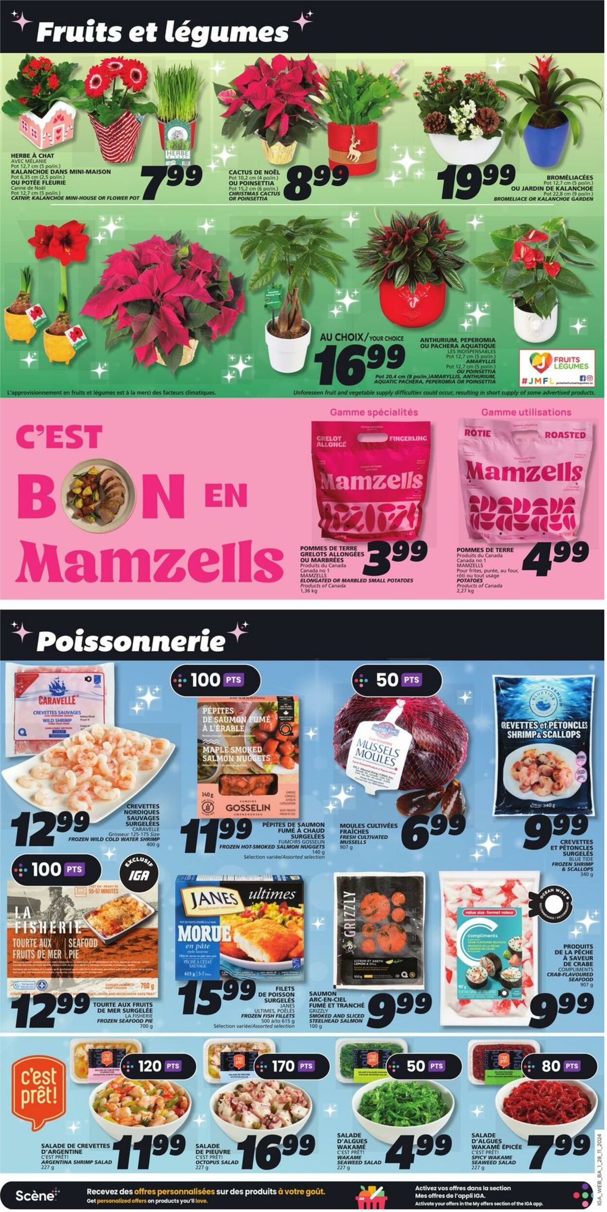 Flyer IGA 28.11.2024 - 04.12.2024