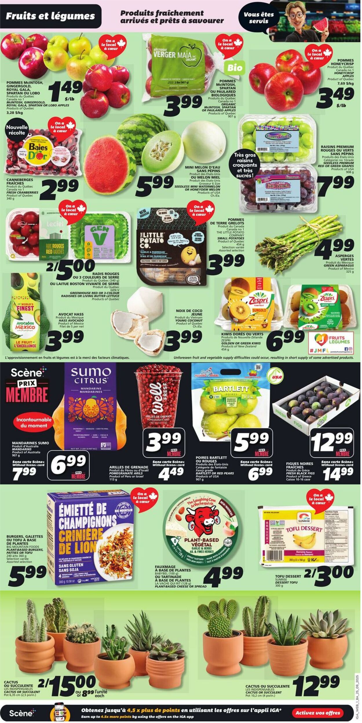 Flyer IGA 25.09.2025 - 01.10.2025