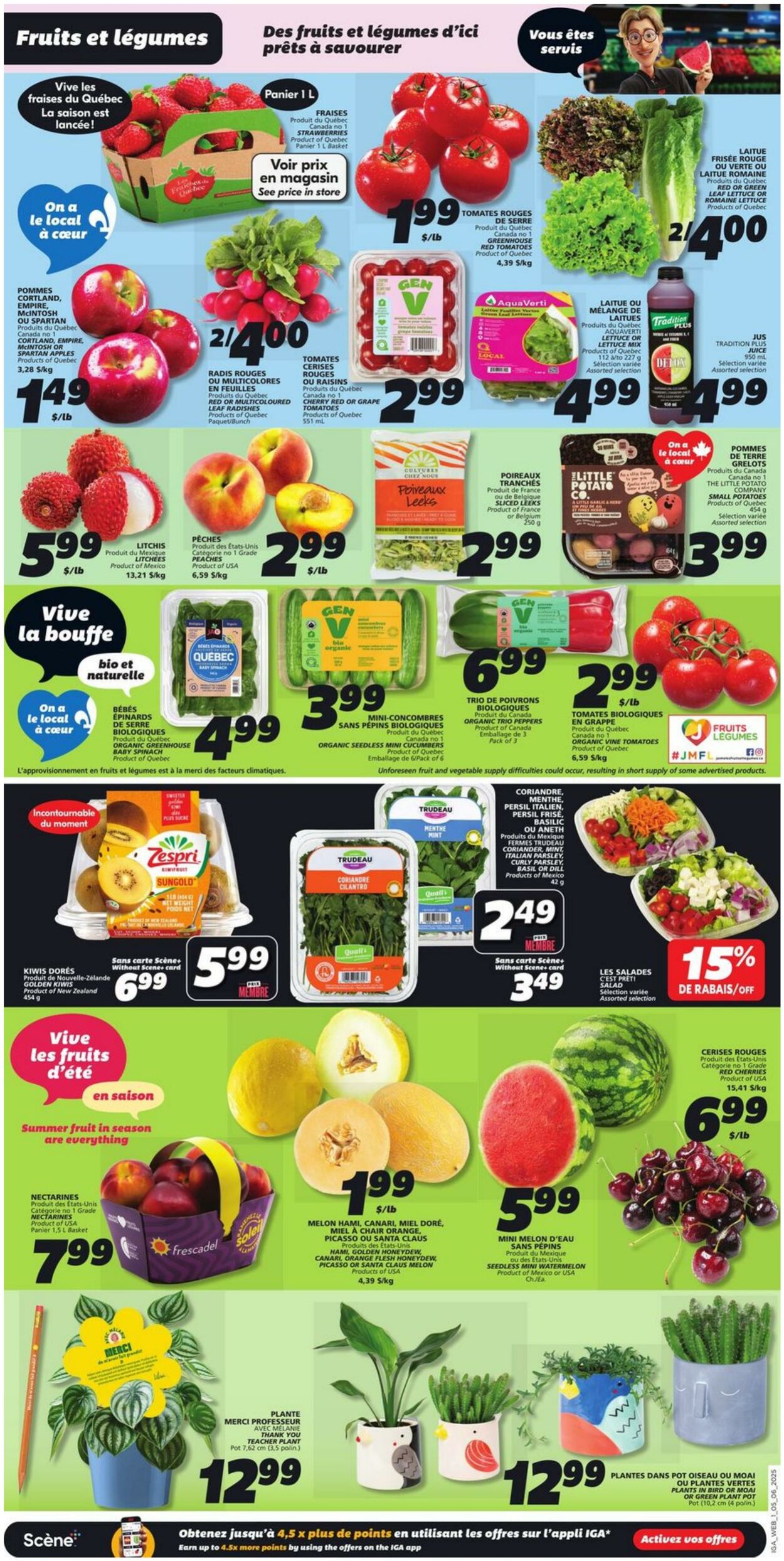 Flyer IGA 05.06.2025 - 11.06.2025