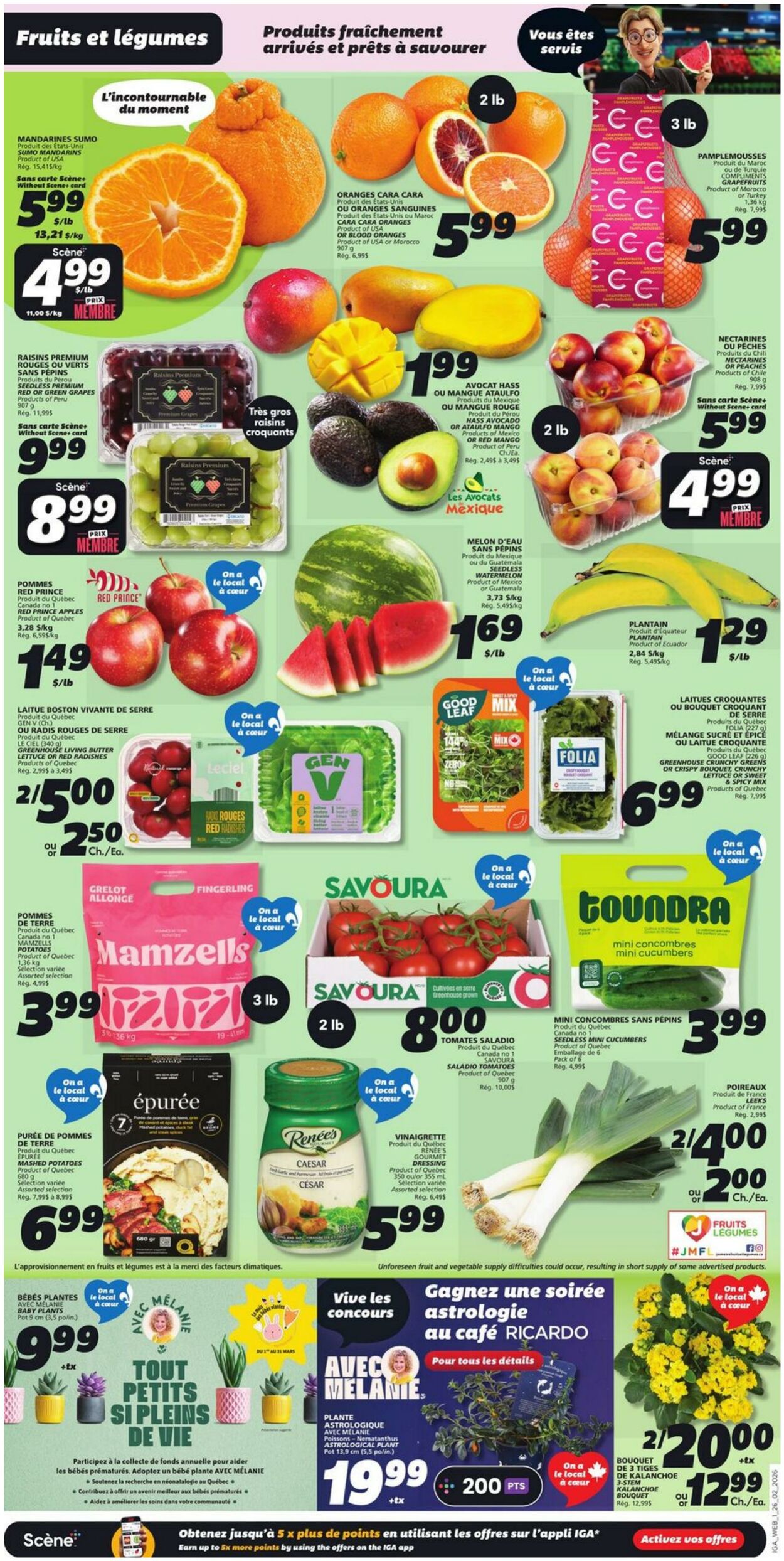 Flyer IGA 26.02.2026 - 04.03.2026