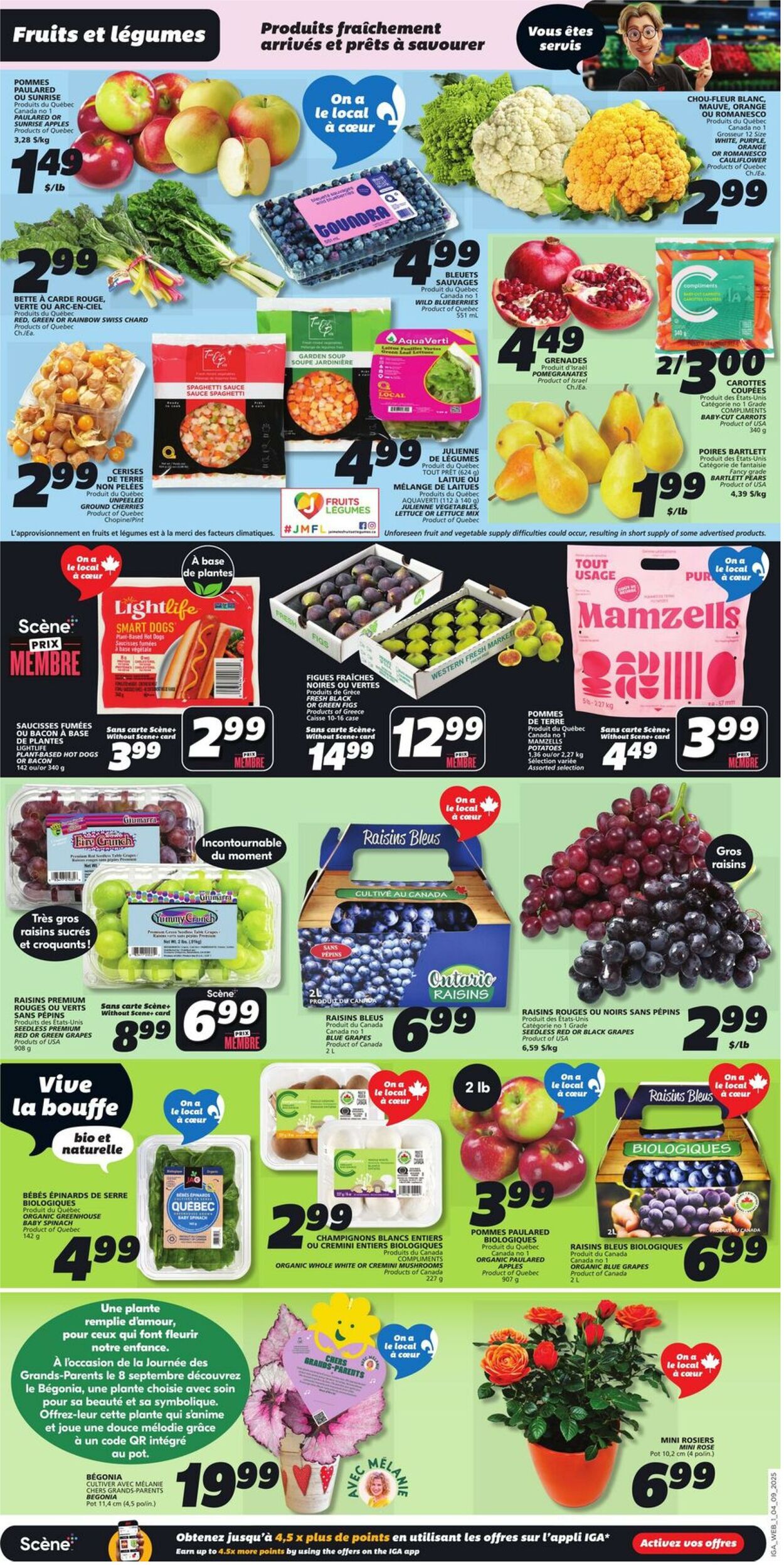 Flyer IGA 04.09.2025 - 10.09.2025