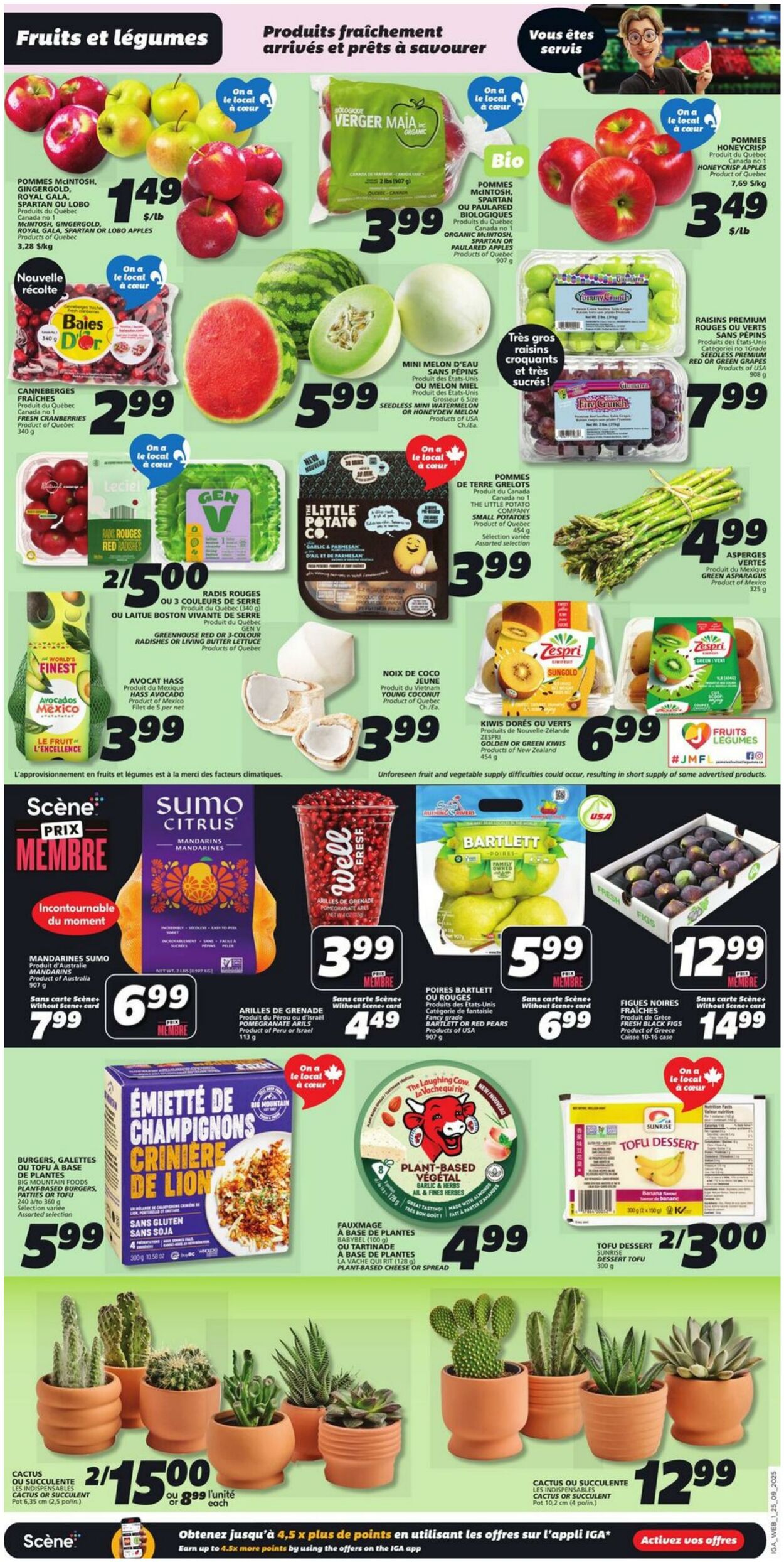 Flyer IGA 25.09.2025 - 01.10.2025