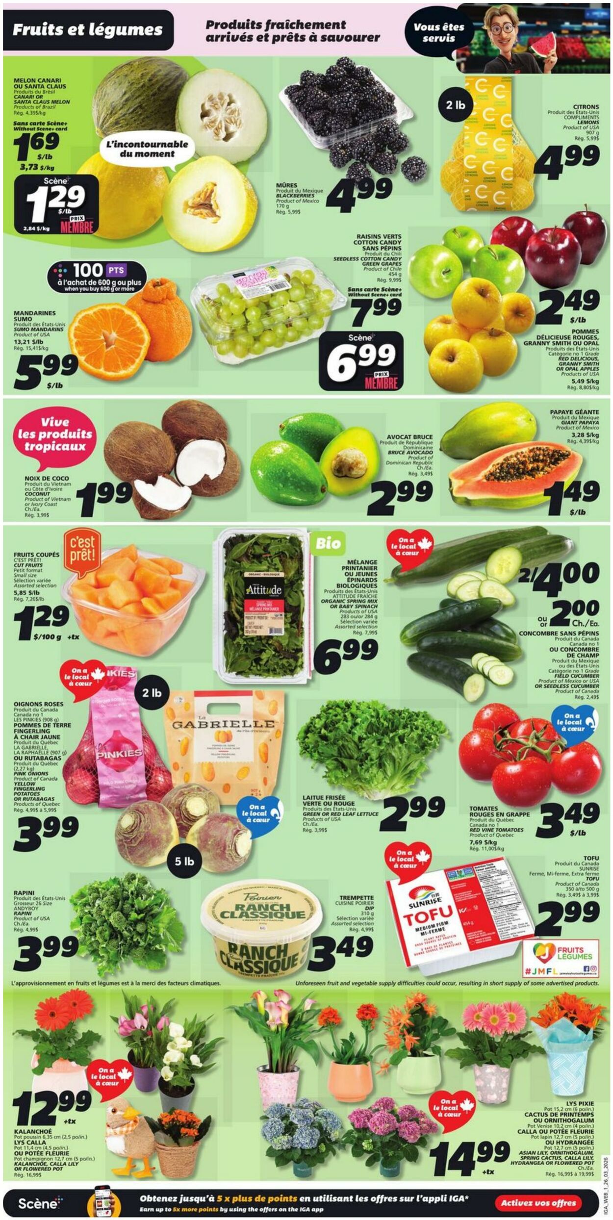 Flyer IGA 26.03.2026 - 01.04.2026