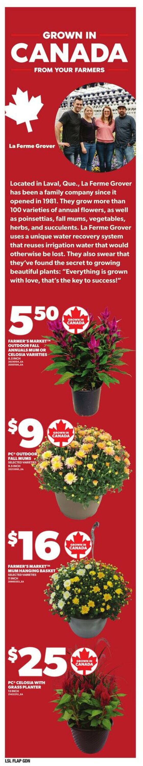 Flyer Loblaws 21.08.2025 - 27.08.2025