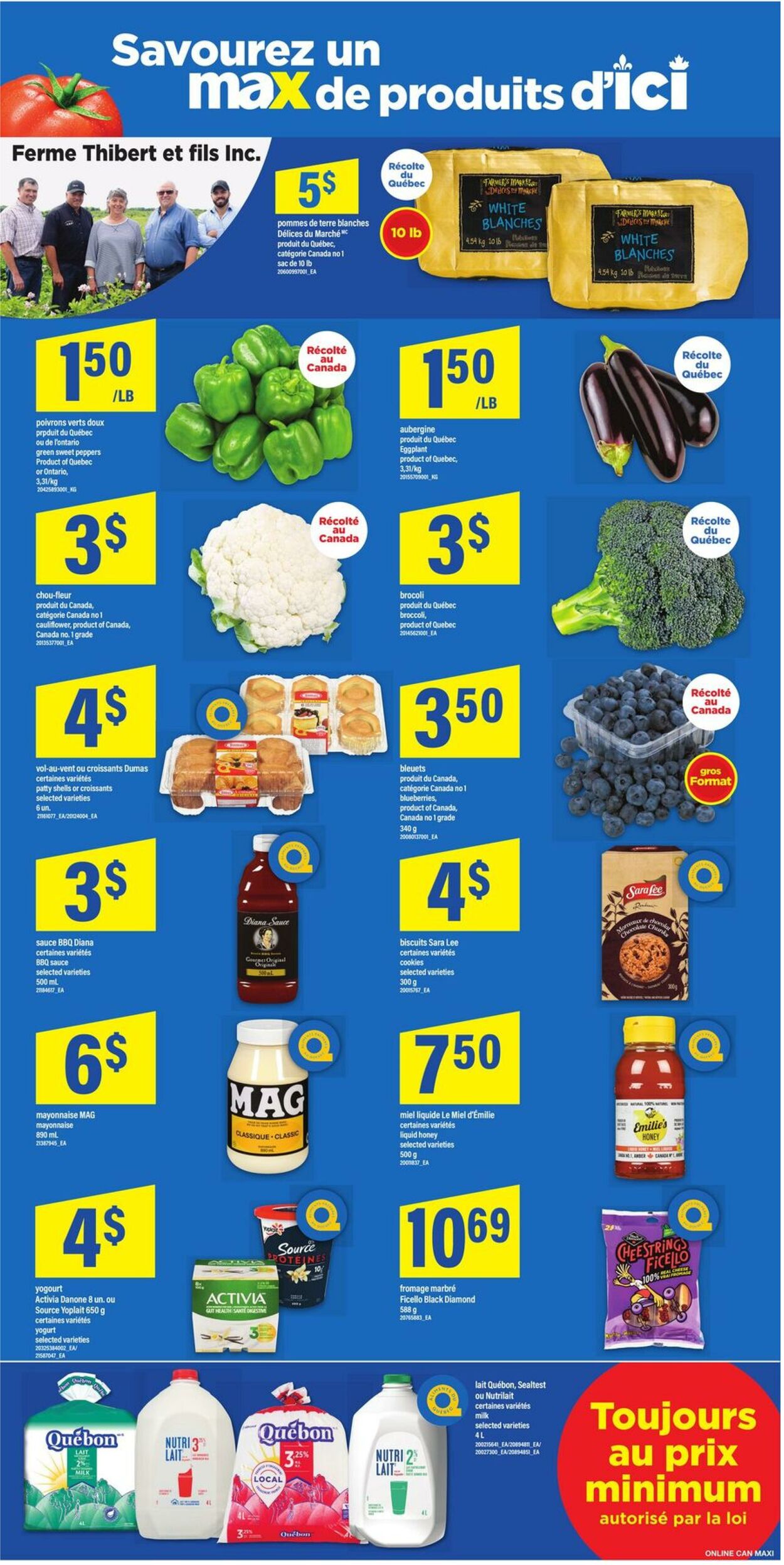 Flyer Maxi 21.08.2025 - 27.08.2025