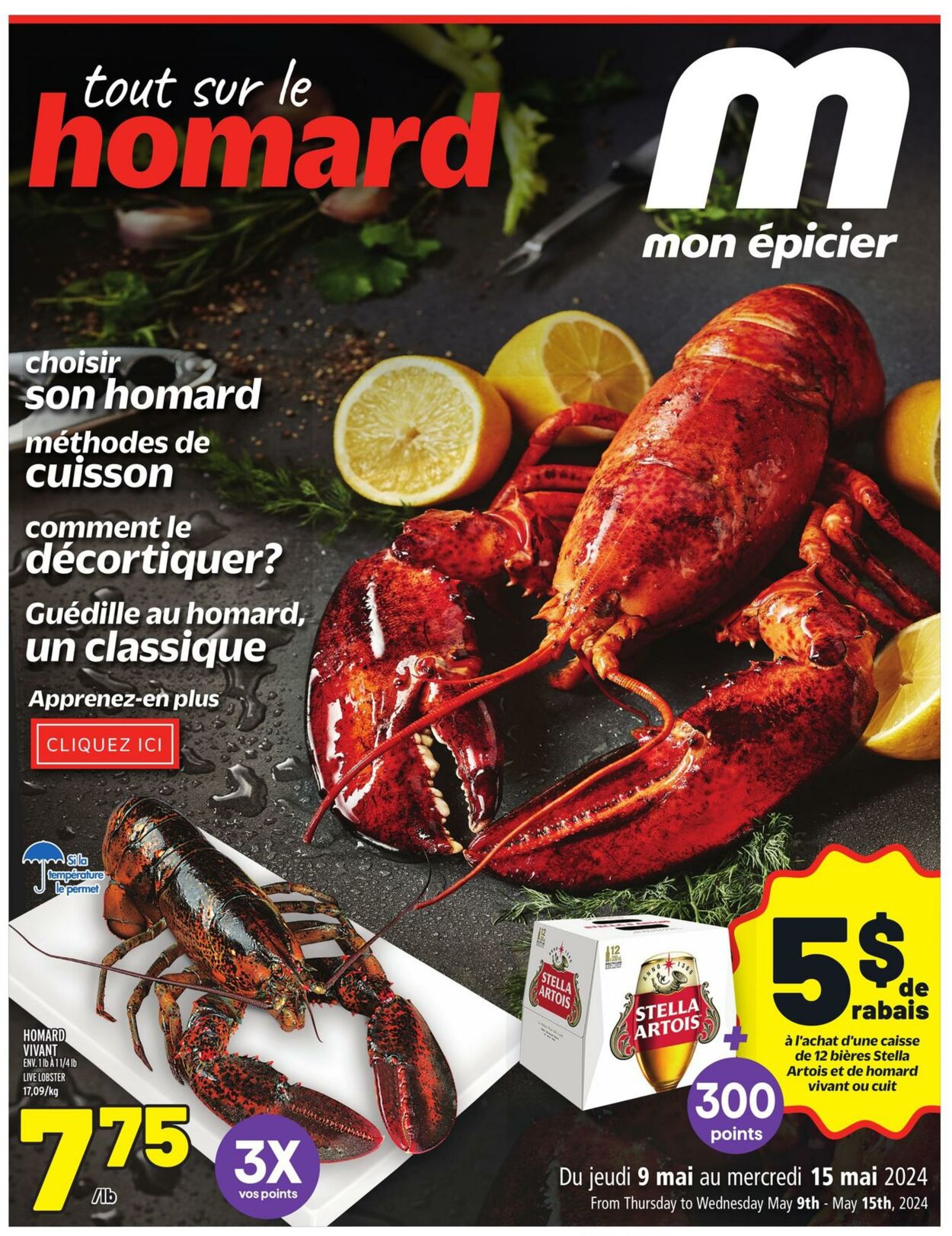 Flyer Metro - All About Lobster - Metro Plus 9 May 2024 - 15 May 2024