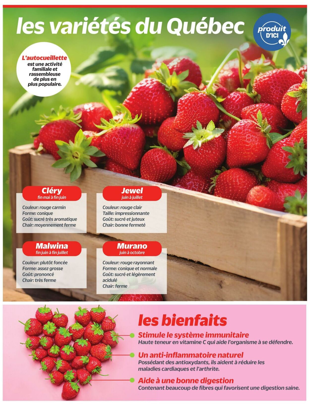 Flyer Metro 19.06.2025 - 25.06.2025