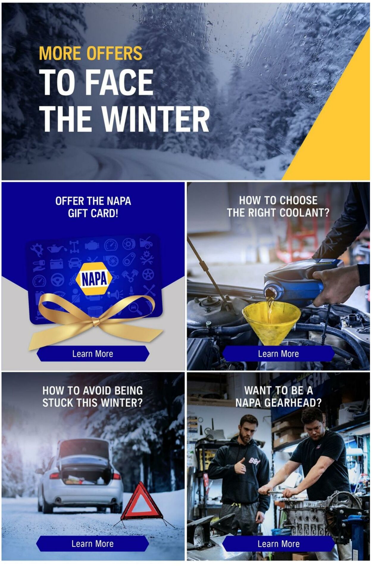 Flyer NAPA Auto Parts 01.01.2025 - 28.02.2025