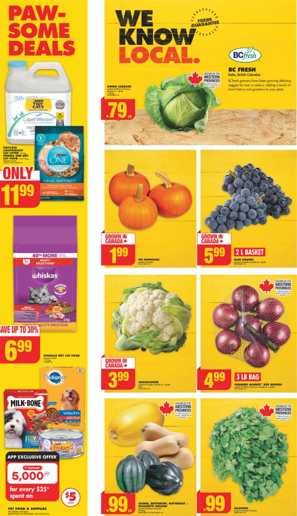 Flyer No Frills 19.09.2024 - 25.09.2024