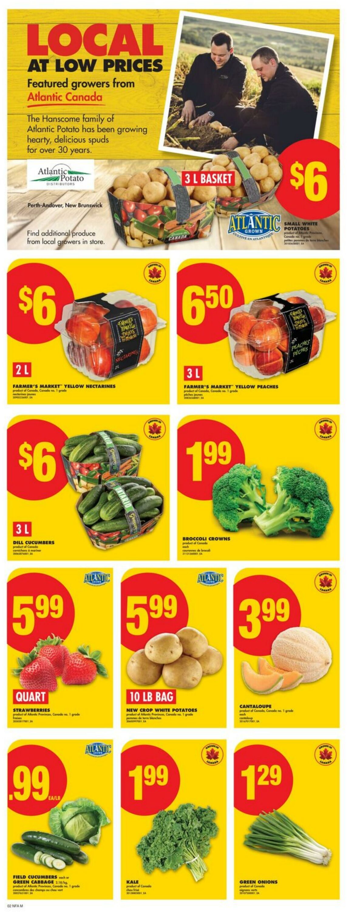 Flyer No Frills 07.08.2025 - 13.08.2025