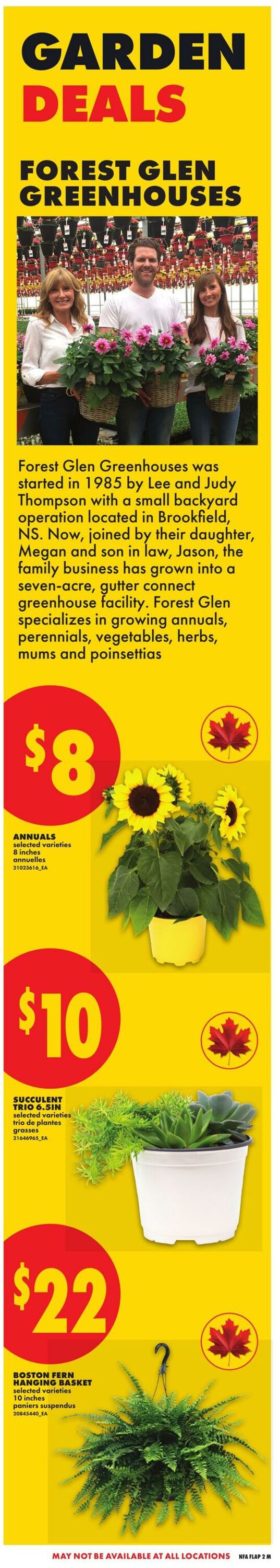 Flyer No Frills 28.05.2026 - 03.06.2026