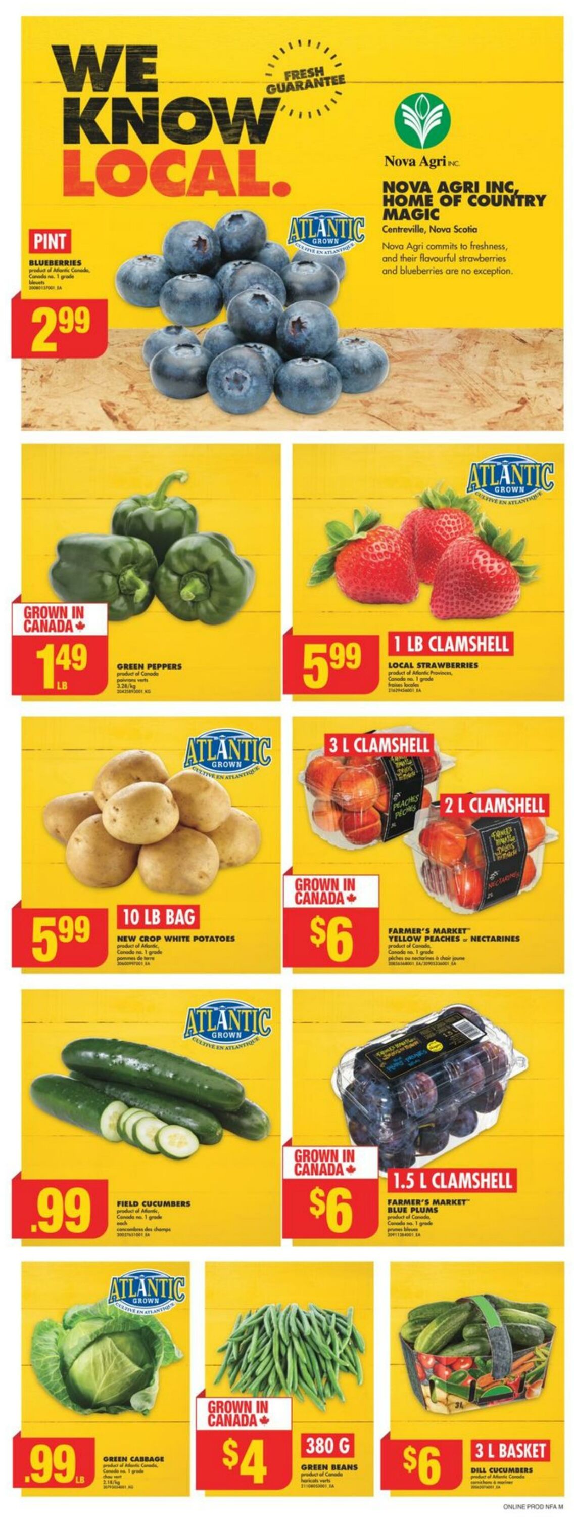 Flyer No Frills 08.08.2024 - 14.08.2024