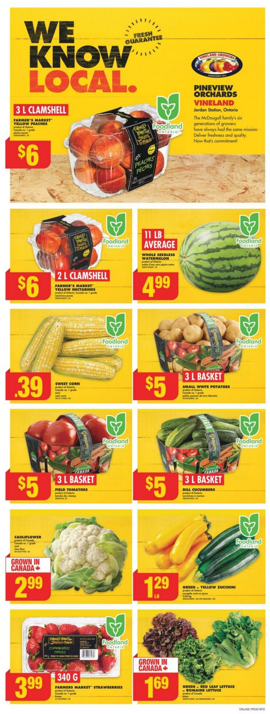 Flyer No Frills 08.08.2024 - 14.08.2024